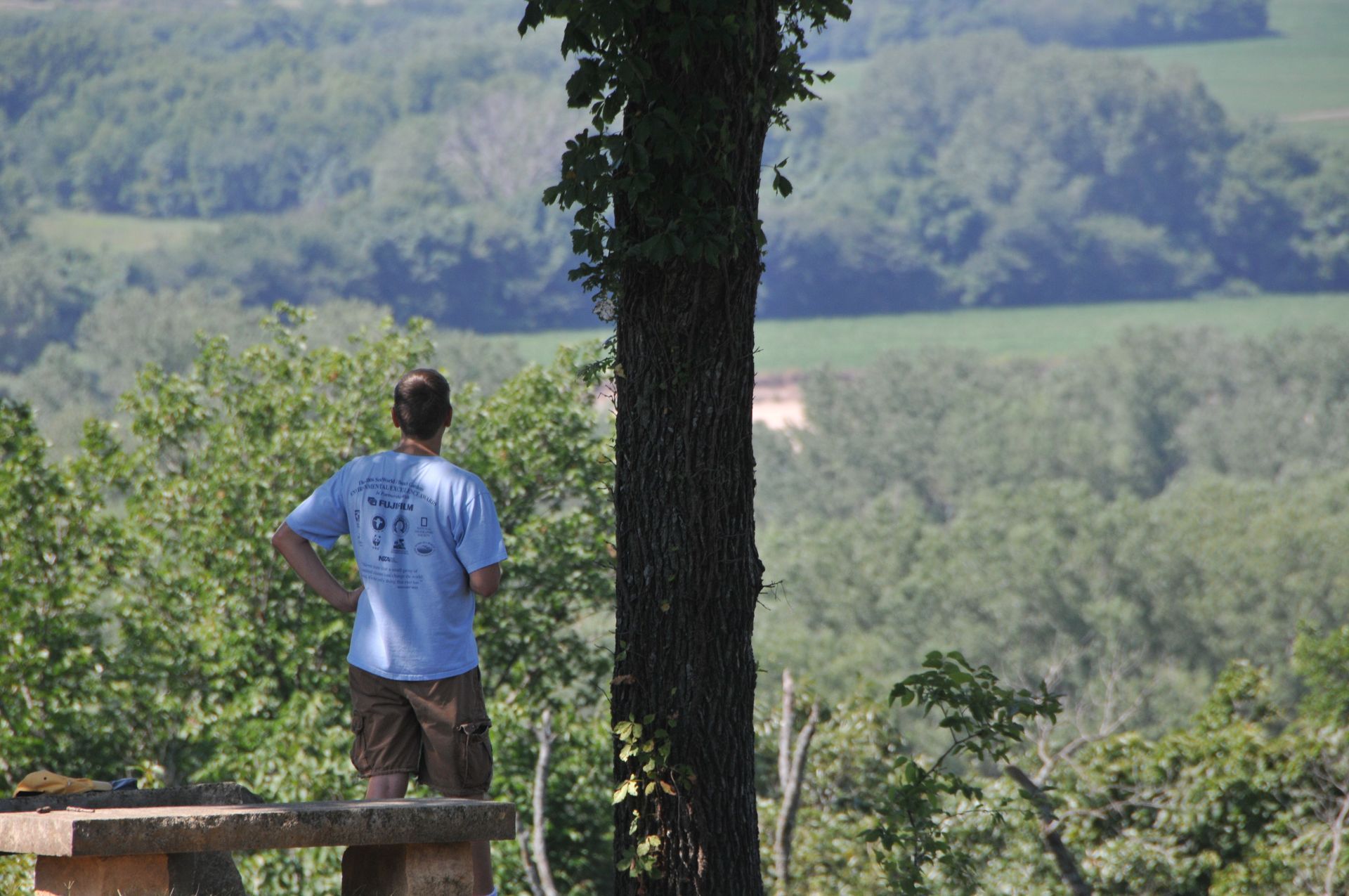 A person in a light blue shirt stands by a tree on a hilltop, looking out over a vast, green valley.