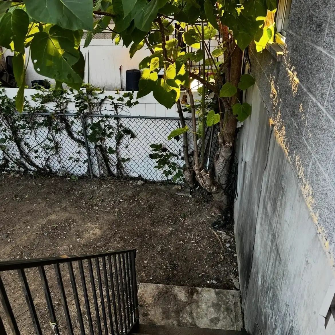 Narrow backyard with dirt, a tree by a concrete wall, and a chain-link fence in the background