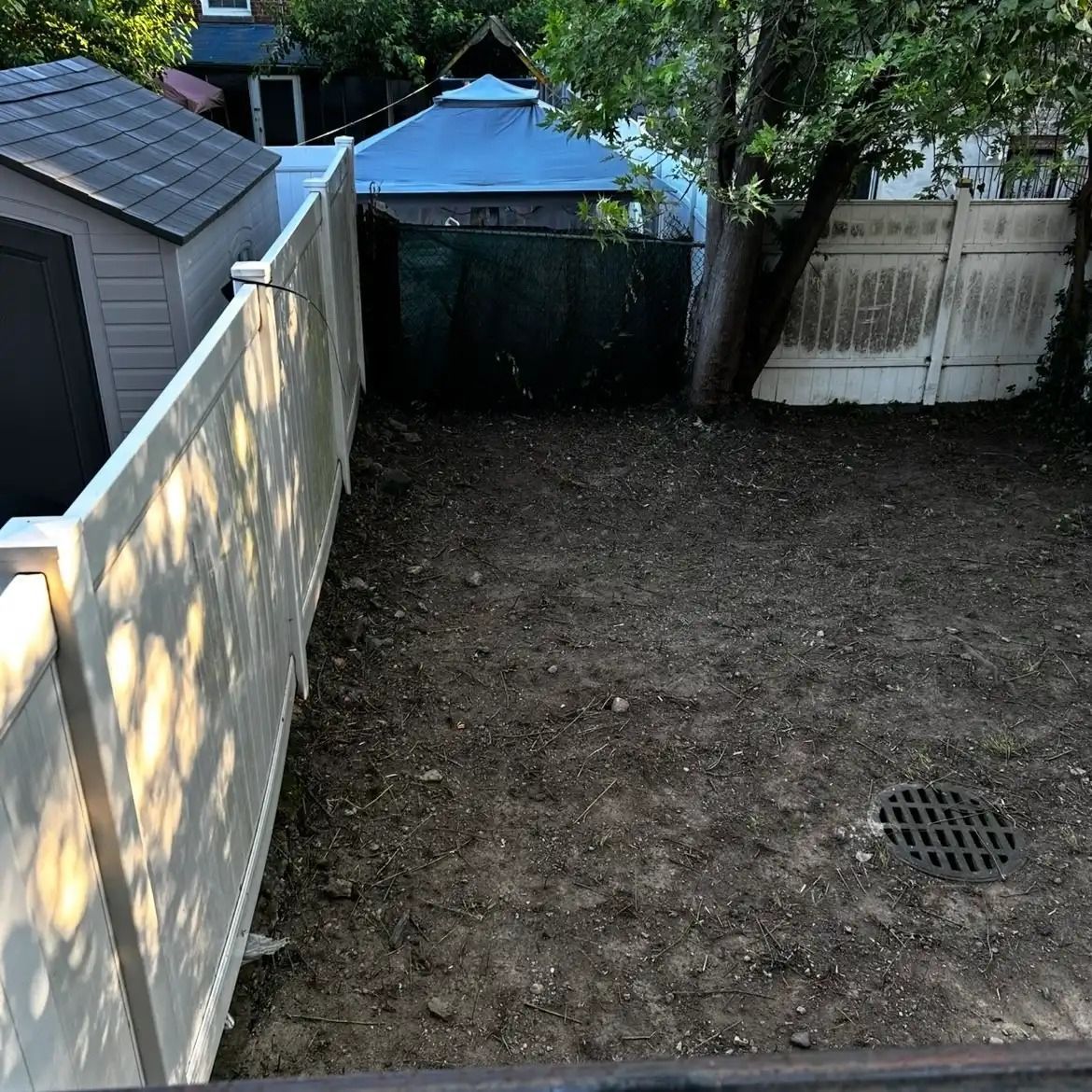Backyard with bare dirt, a fence, trees, and a blue shed roof, with a drain grate in the foreground