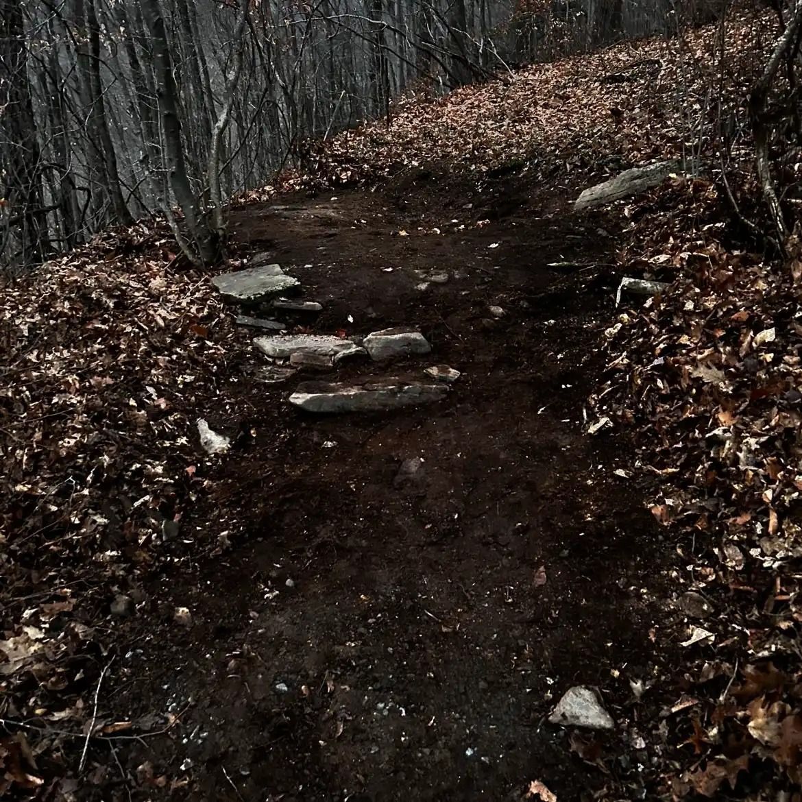 Narrow dirt trail with stone steps winding through a leaf-covered wooded area