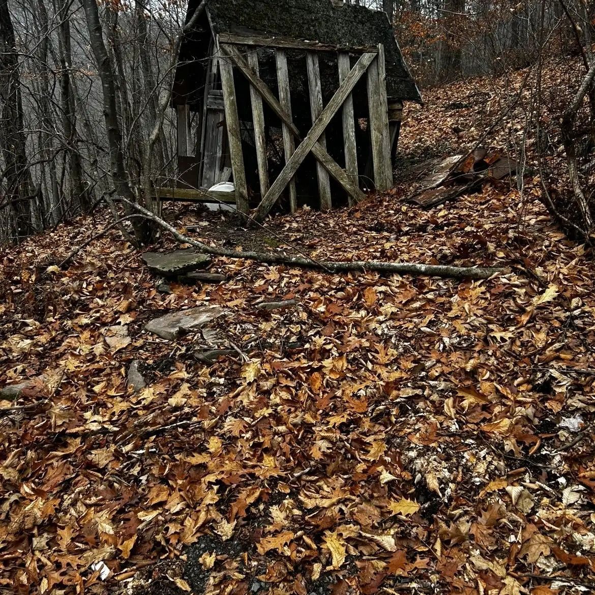 A weathered wooden gate in a leaf-covered forest clearing on a rainy, overcast day