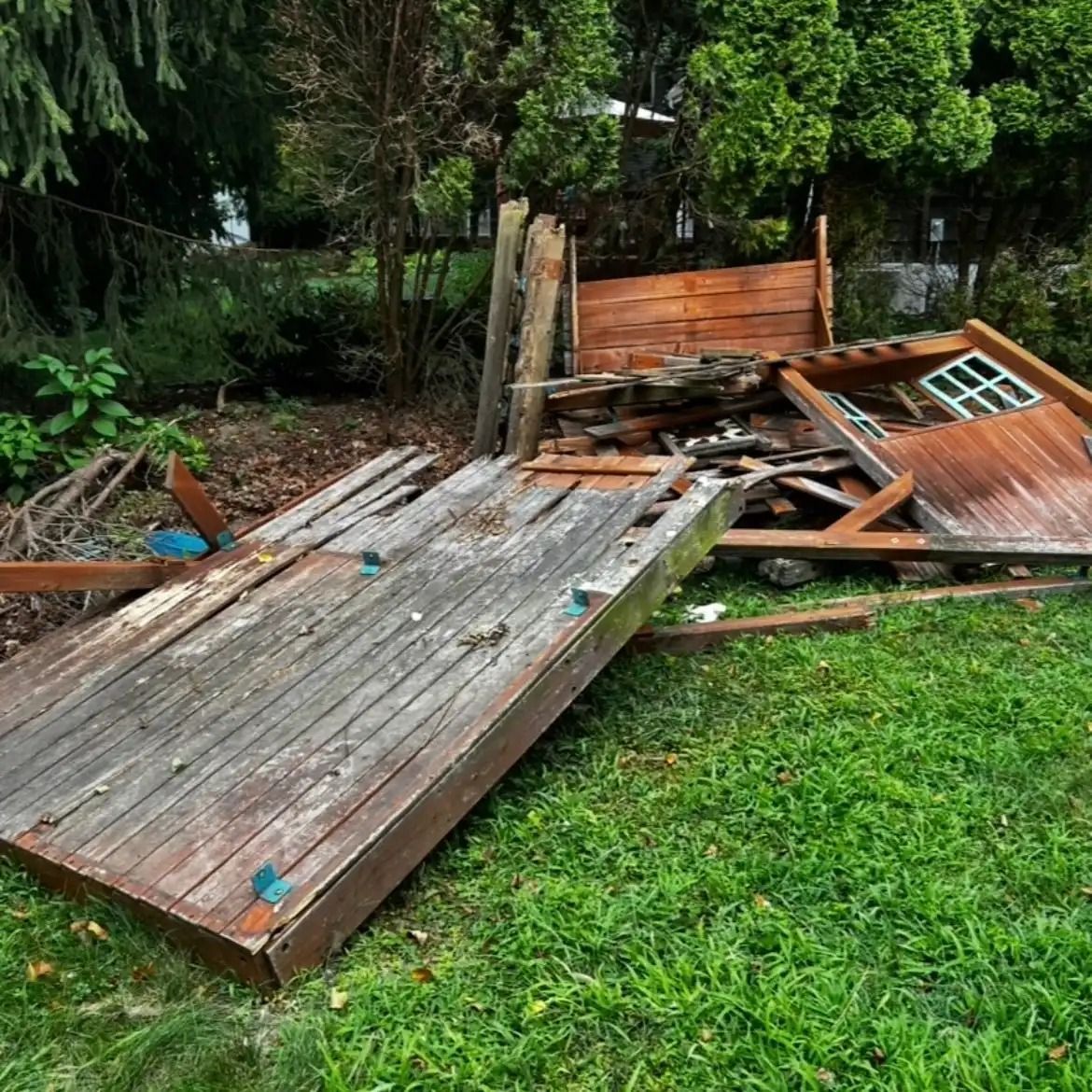 Collapsed wooden shed debris on a grassy yard near trees, with broken panels and scattered boards