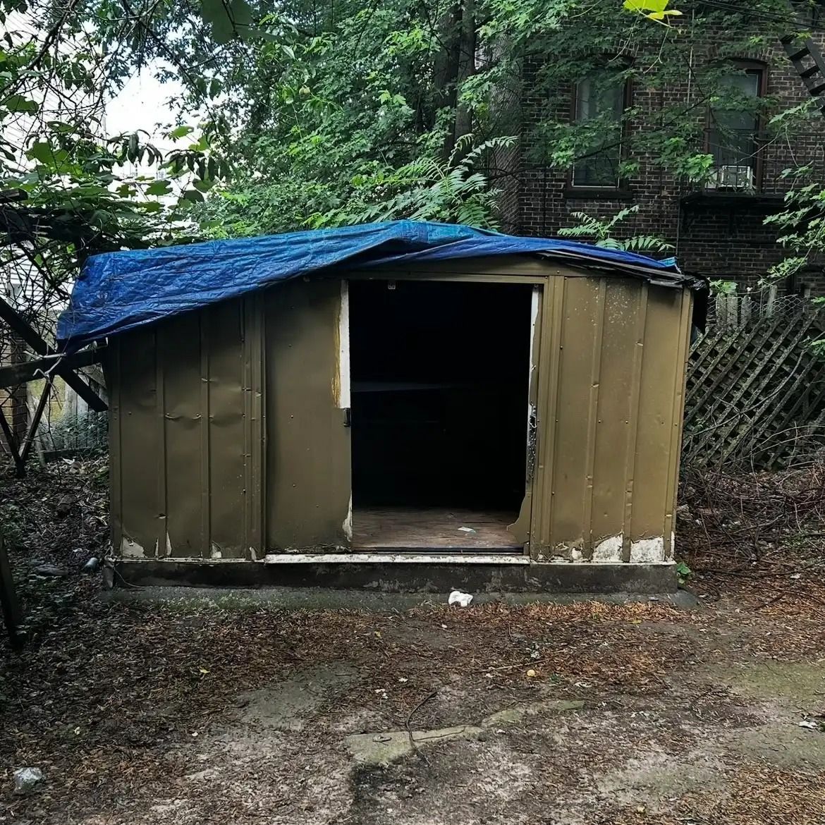 Small tan shed with a blue tarp roof in a wooded yard, doorway open and dark inside