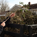 Worker in a yellow hard hat trimming overgrown bushes beside a black fence outside a house