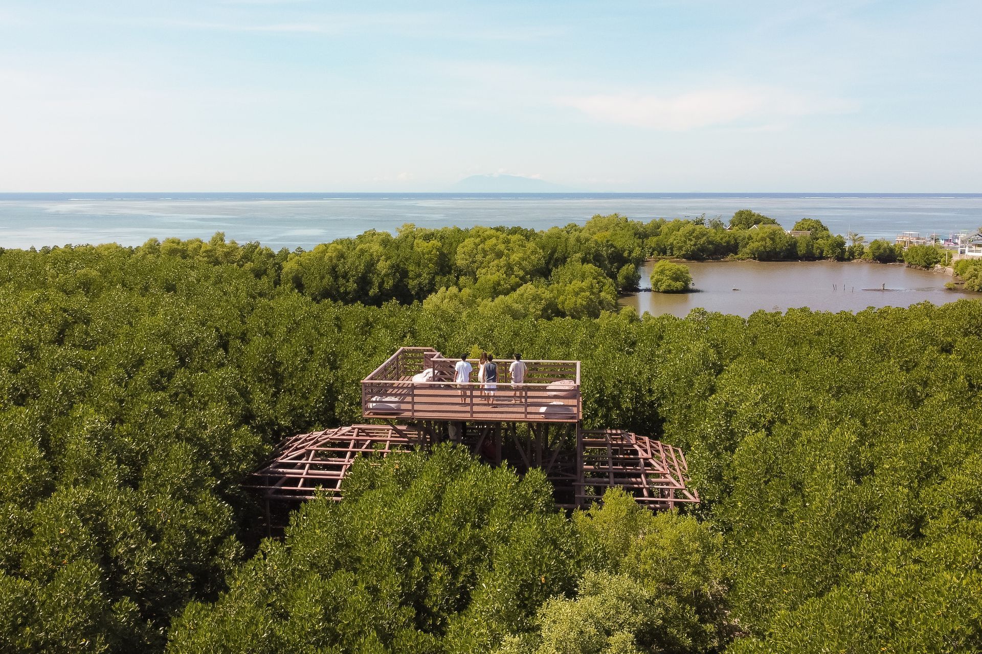 Wooden observation deck in lush green mangrove forest, near the ocean, under a blue sky.