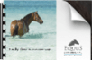Download Brochure