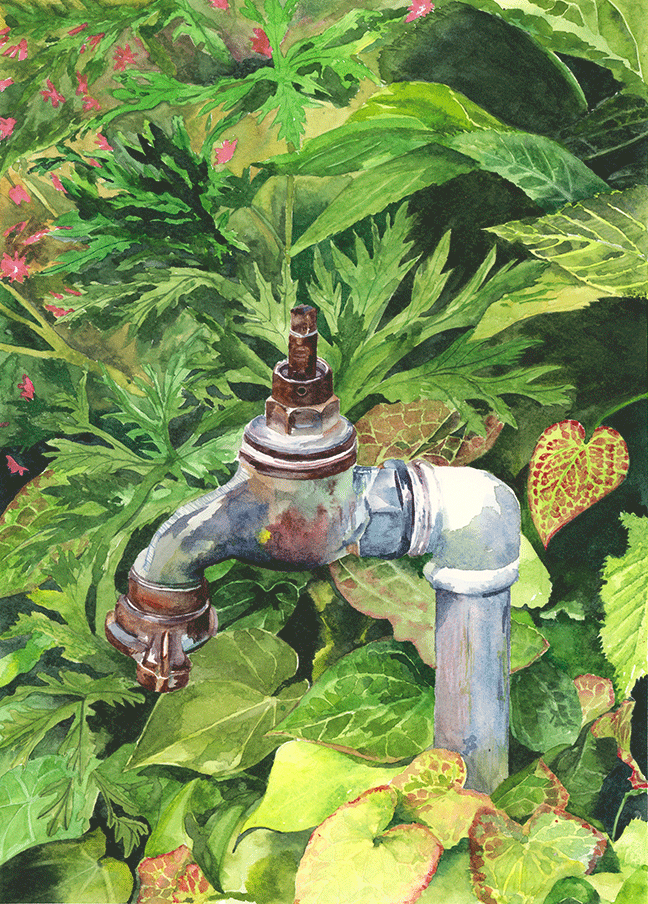 Lush Life  image