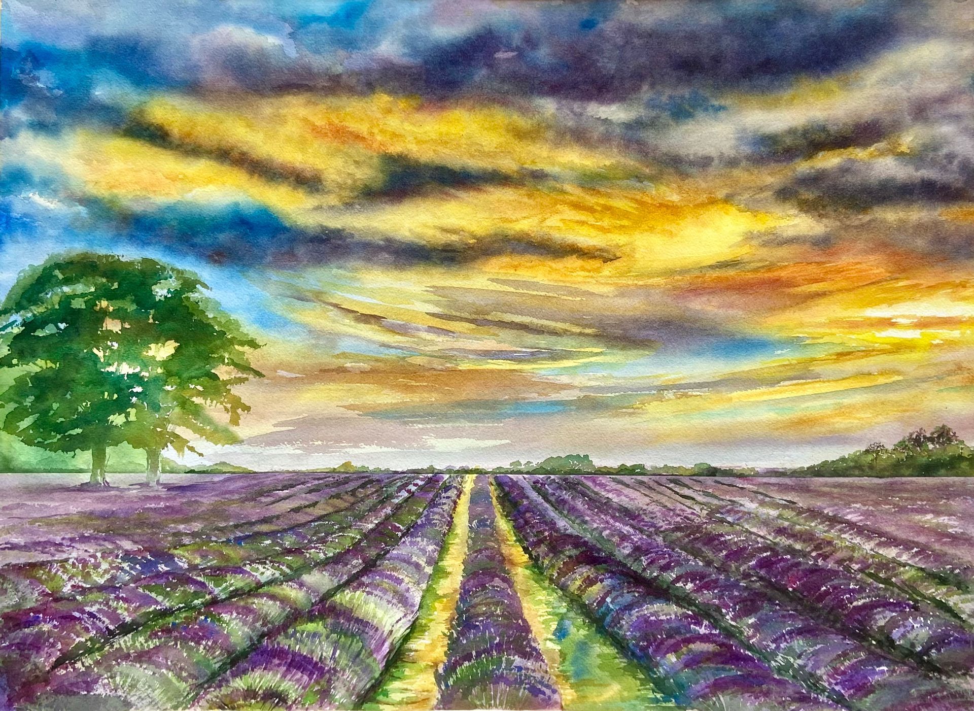 mayfield image