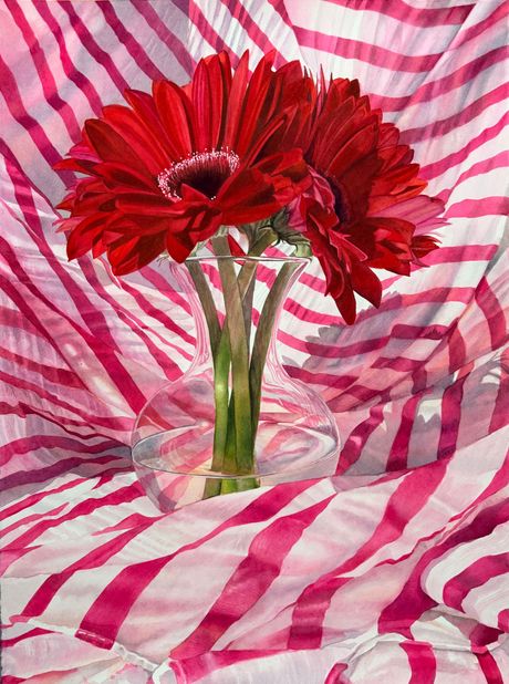 red gebera daisies with pink and white striped cloth background