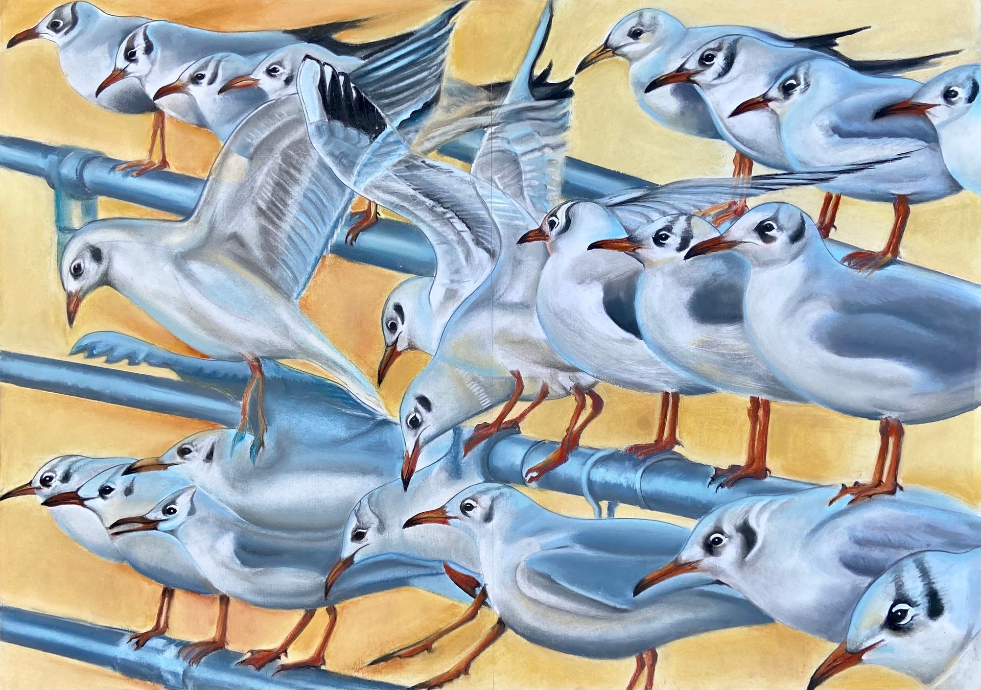 Birds of a feather image