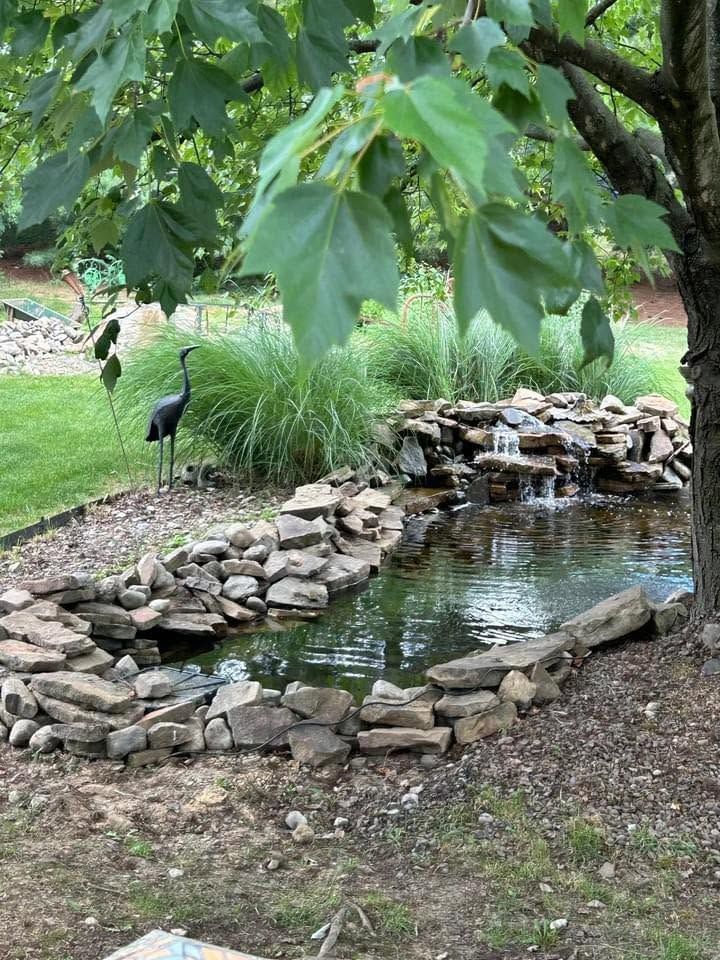 Rock-lined garden pond with a small waterfall and a black heron standing nearby under leafy trees