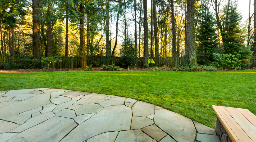 Stone patio beside green lawn and tall trees in a sunlit garden