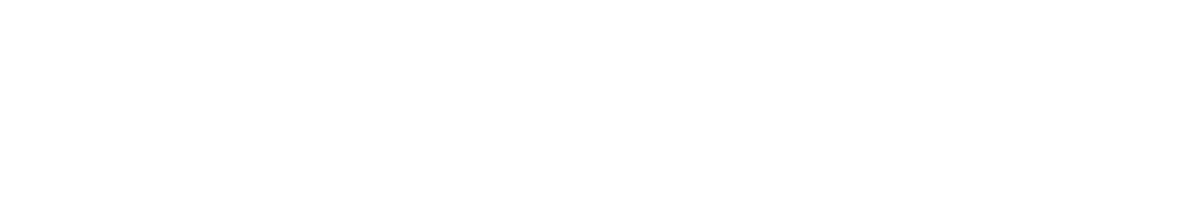 White horizontal banner with a thin black line near the center.