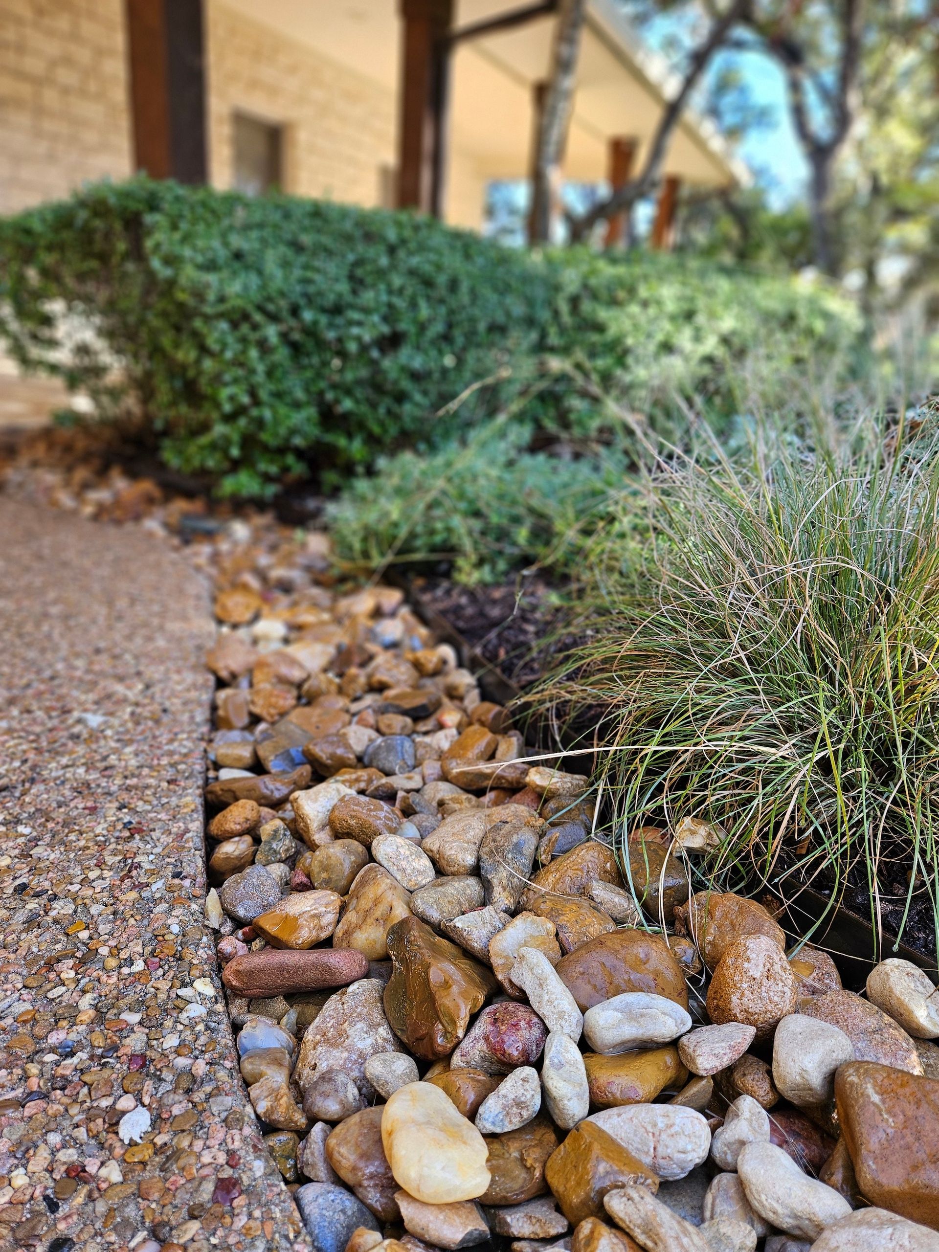 A row of rocks along a sidewalk next to a house.