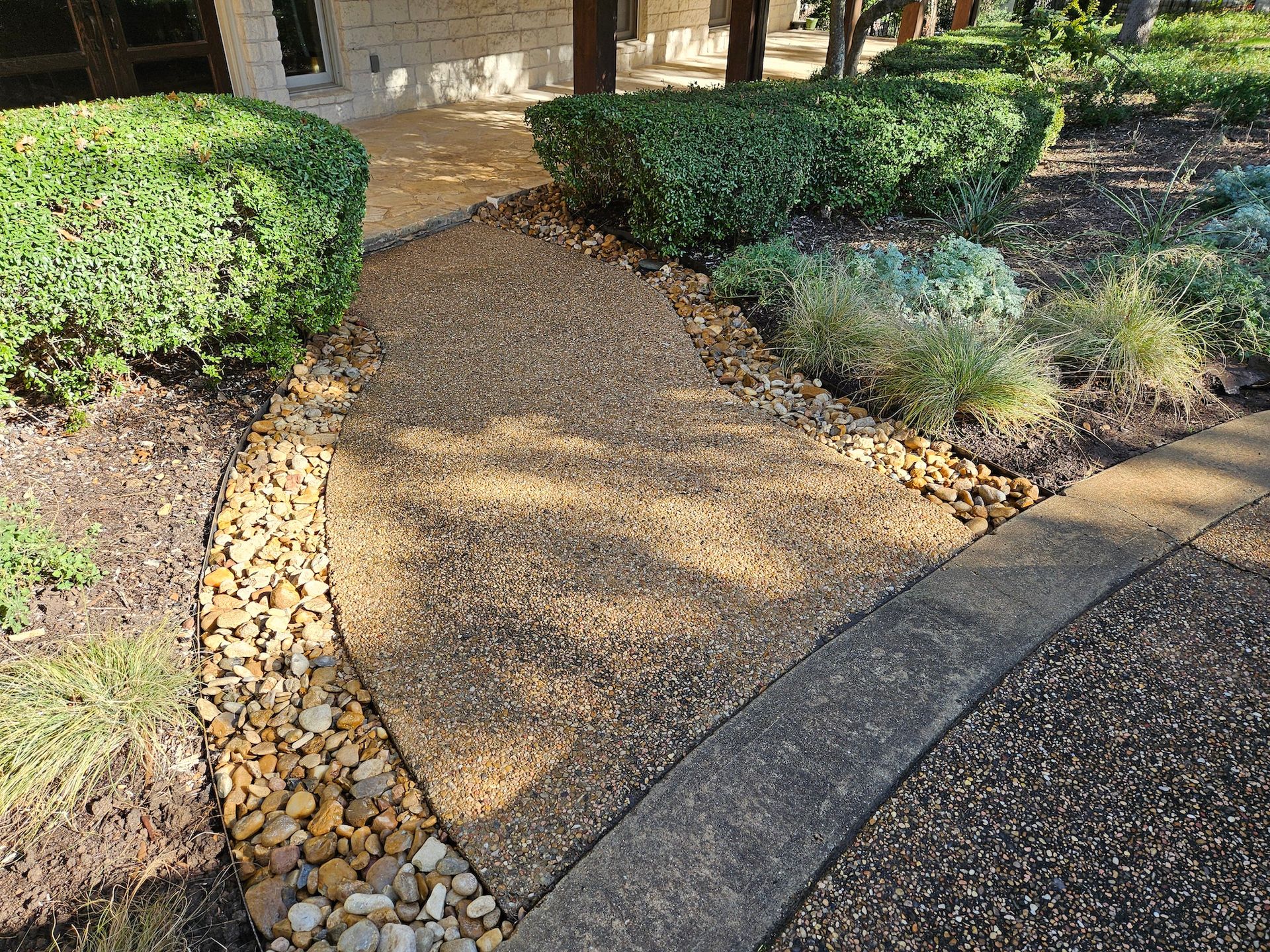 A walkway surrounded by bushes and rocks leading to a house.