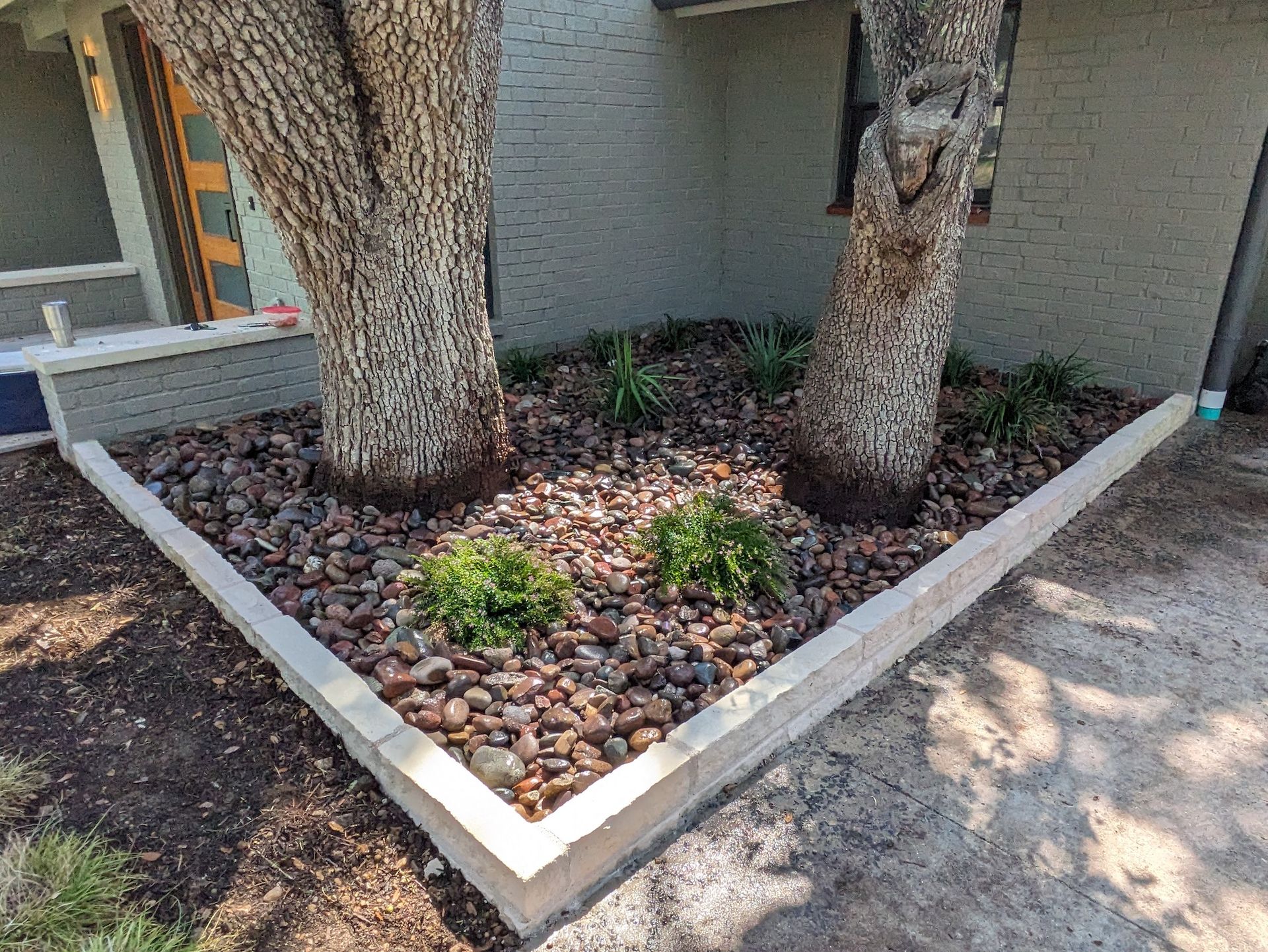 A tree is sitting in a garden next to a house.