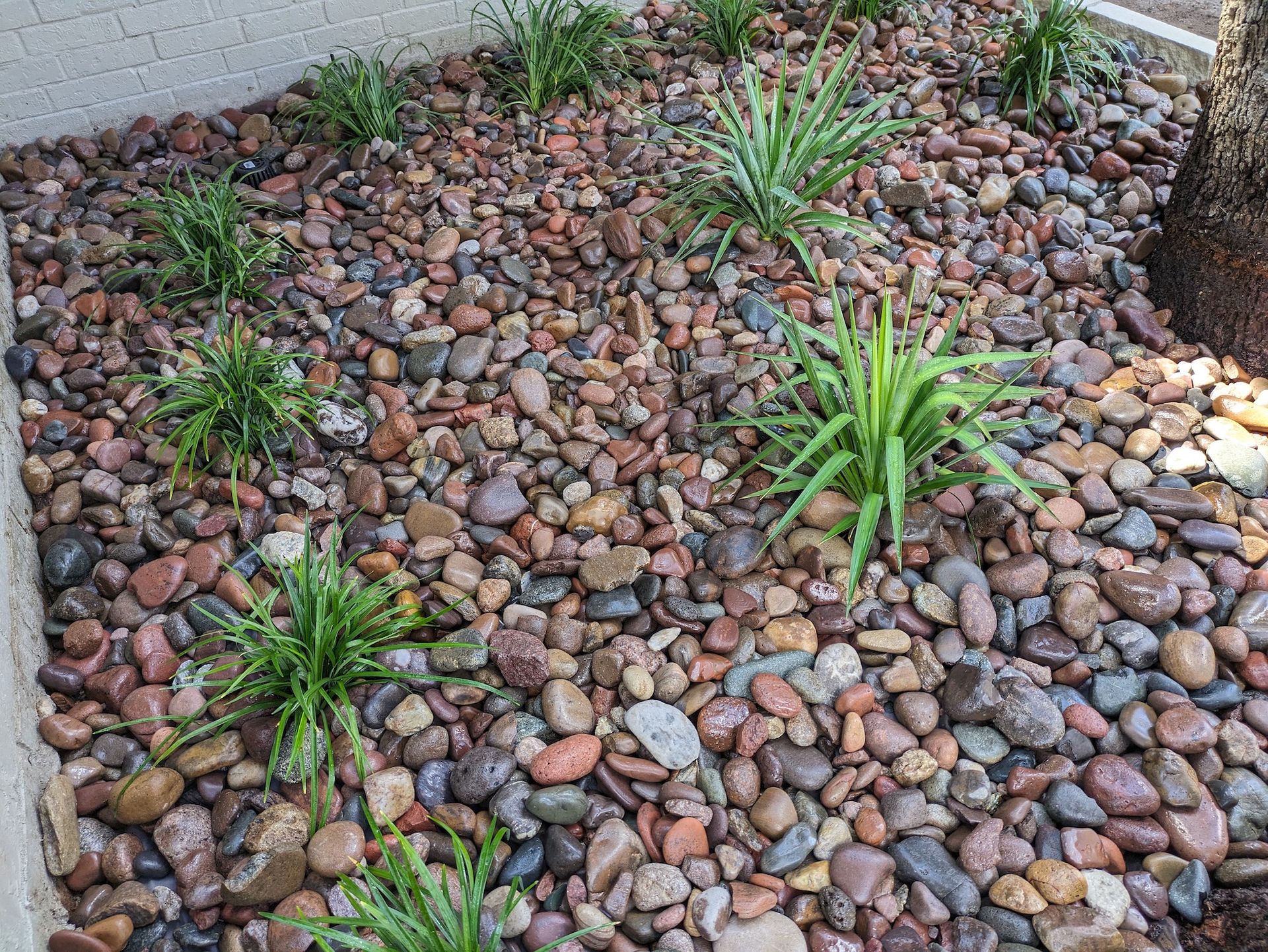 A pile of rocks and plants in a garden.