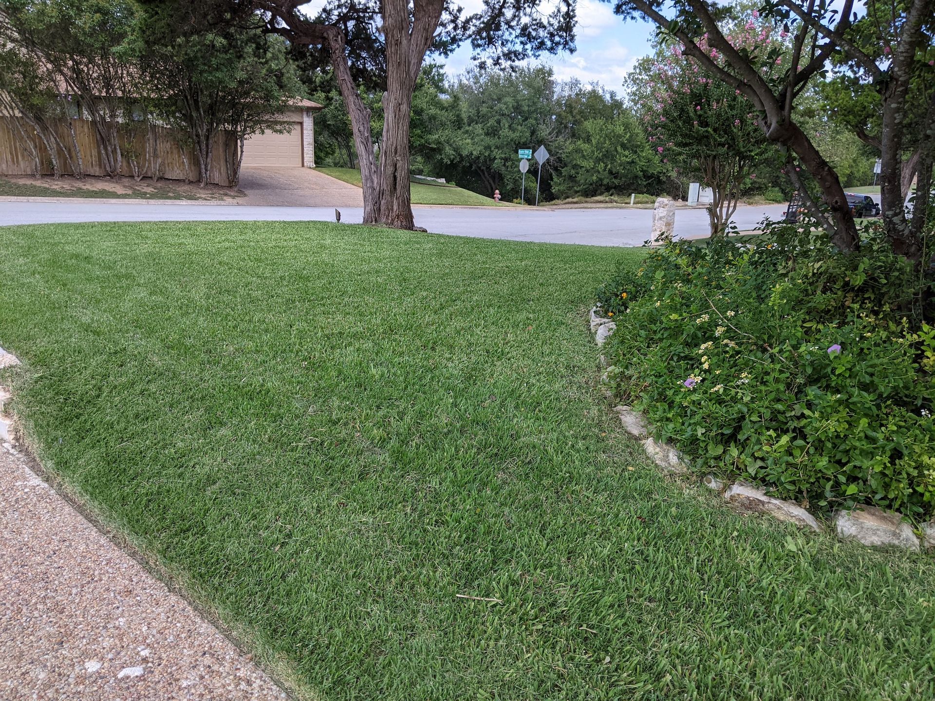 A lush green lawn is surrounded by trees and a driveway.