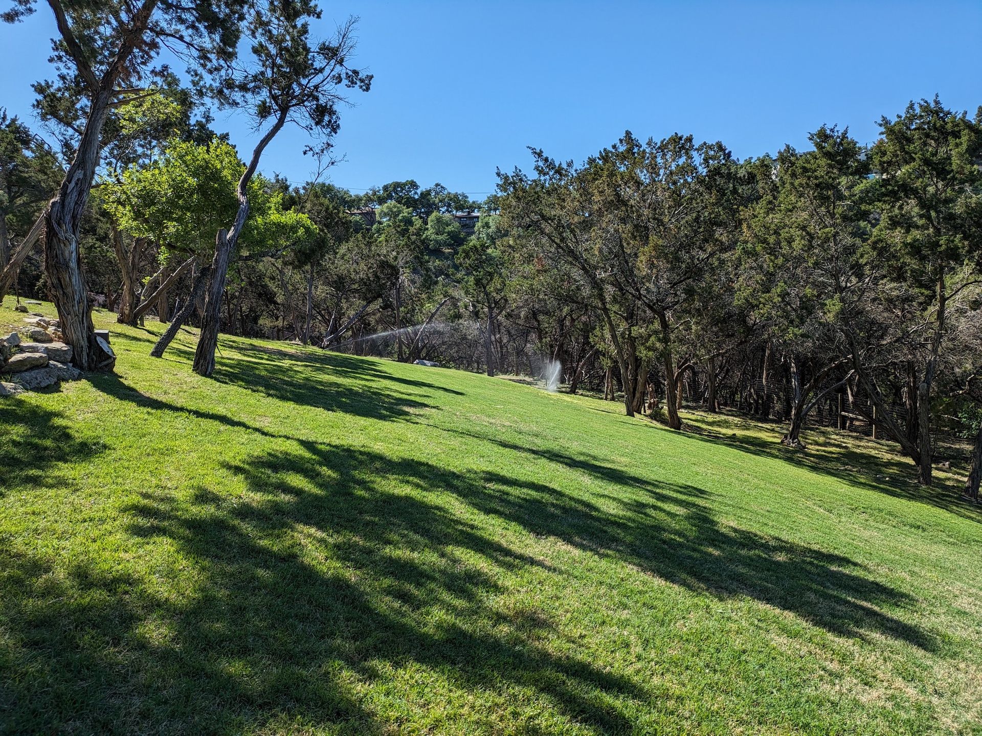 A lush green field surrounded by trees on a hillside.