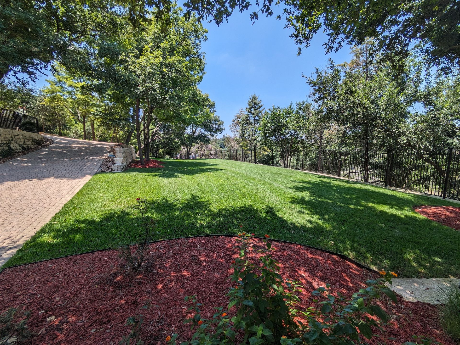 A lush green lawn surrounded by trees and red mulch on a sunny day.