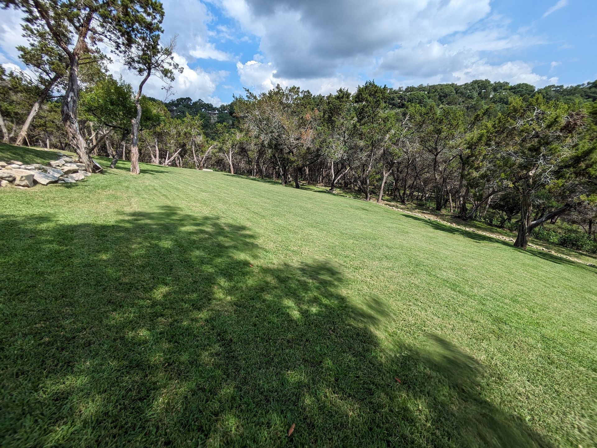 A lush green field surrounded by trees on a hillside.