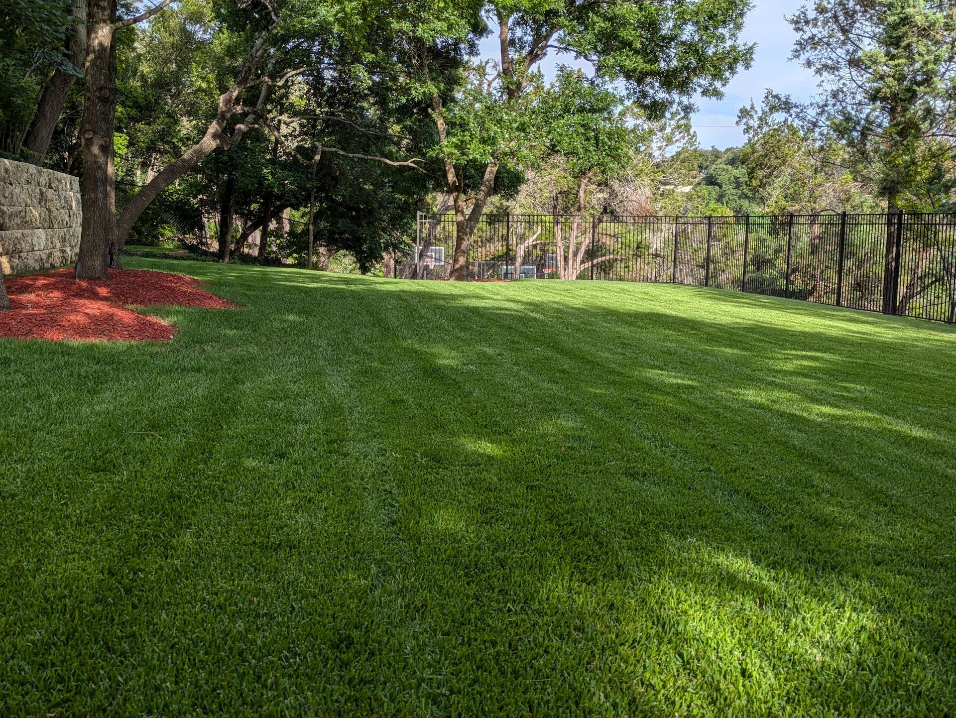 A large lush green lawn with trees in the background.