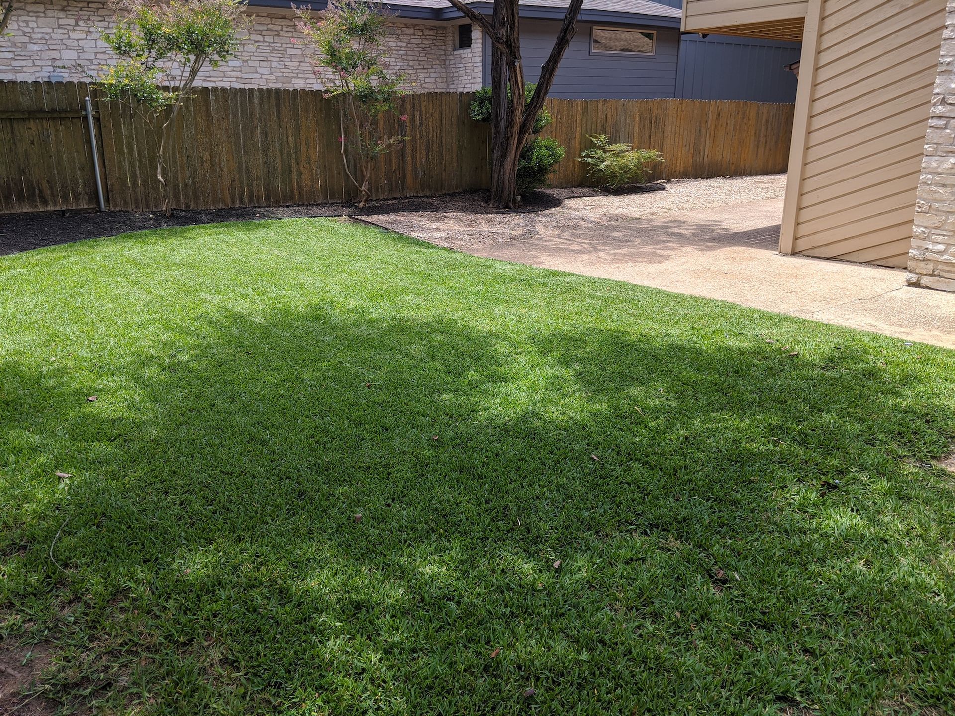A lush green lawn in front of a house with a wooden fence.
