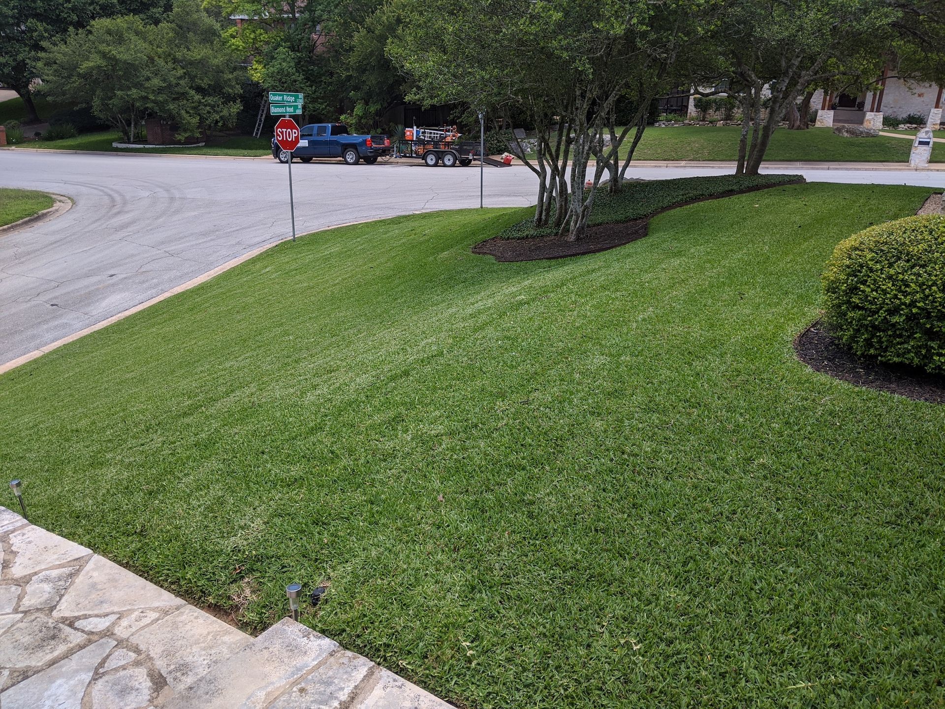 A lush green lawn with a truck parked on the side of the road.
