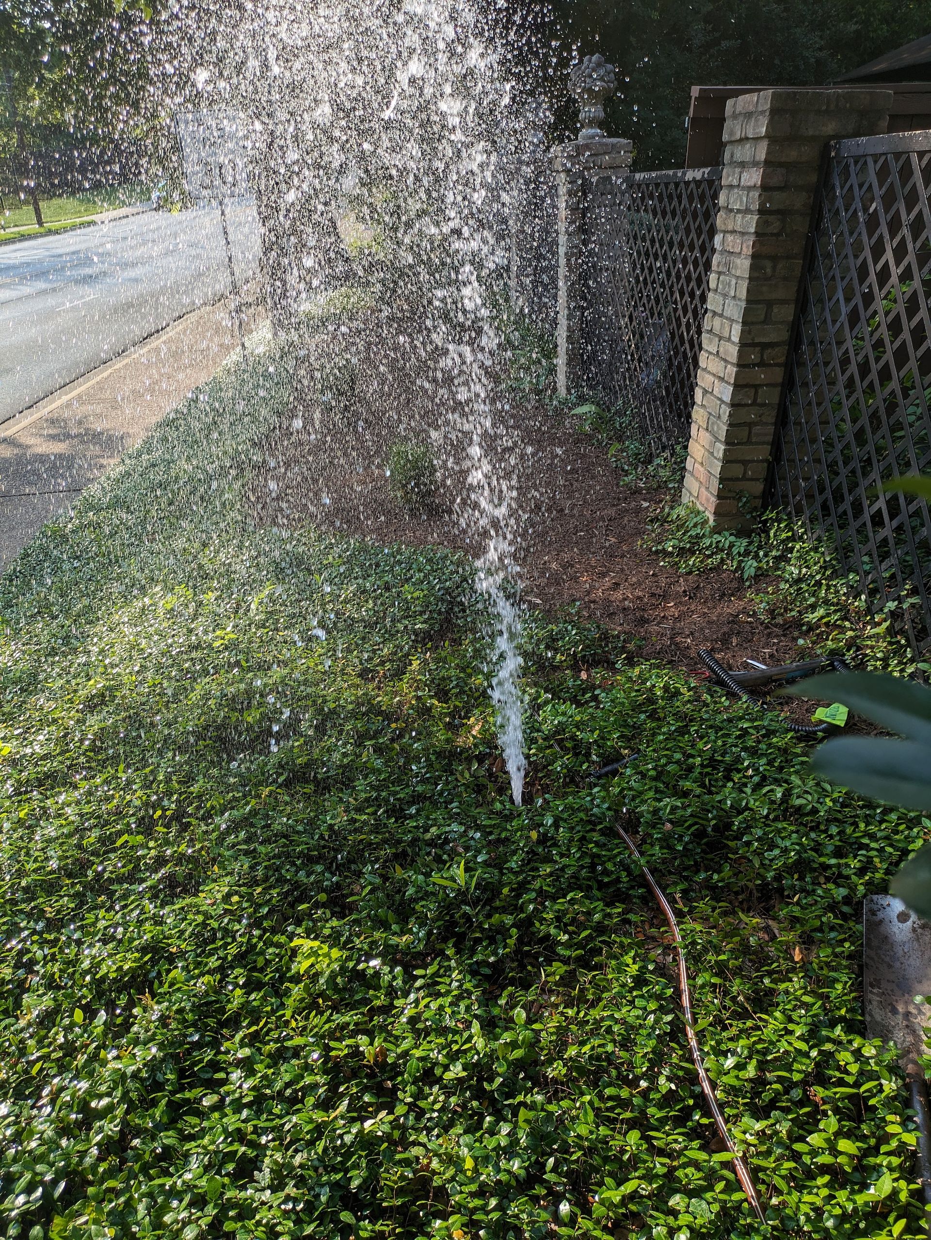 A sprinkler is spraying water on a bush in a yard.