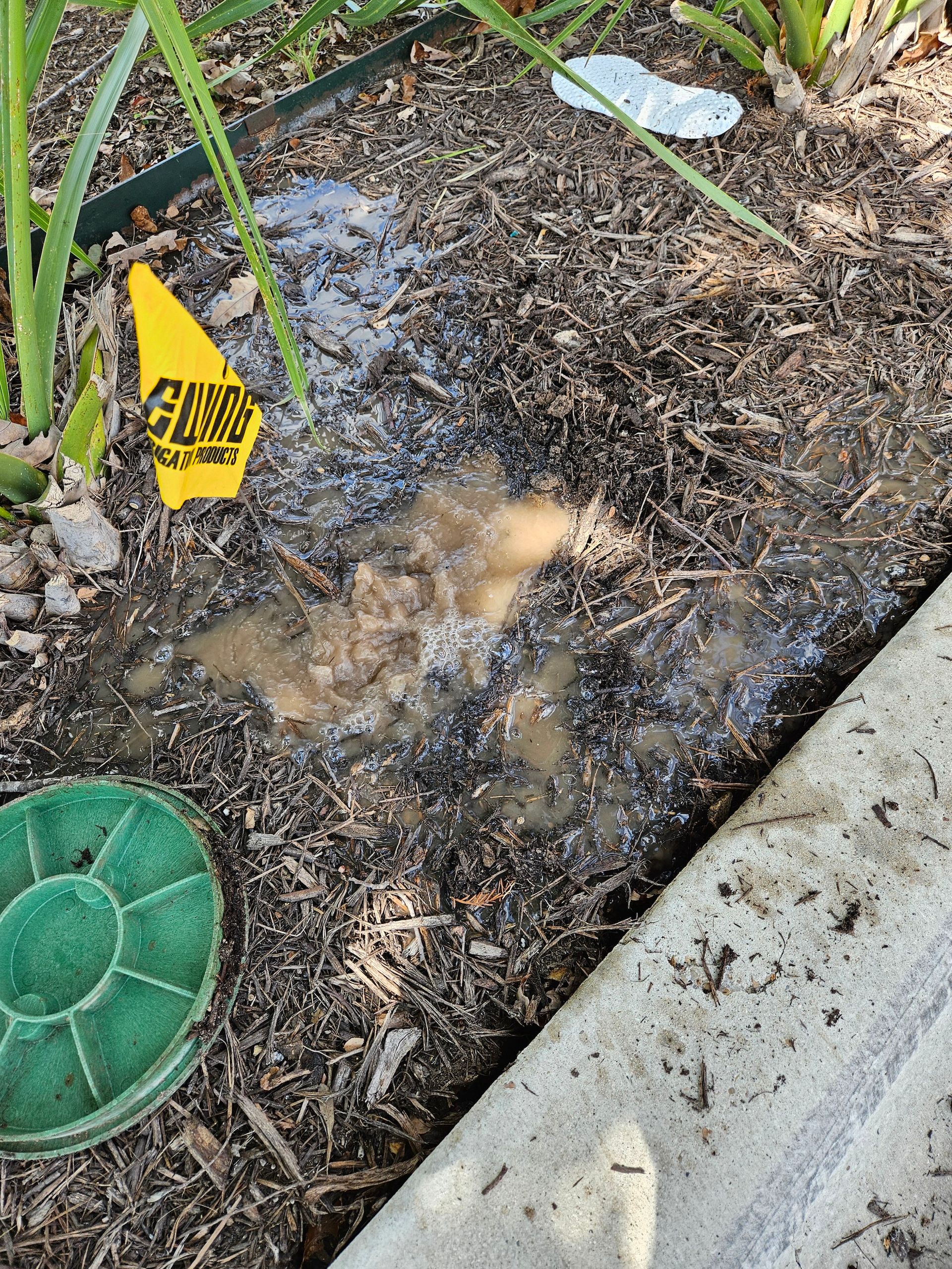 A yellow caution sign is laying on the ground next to a concrete curb.