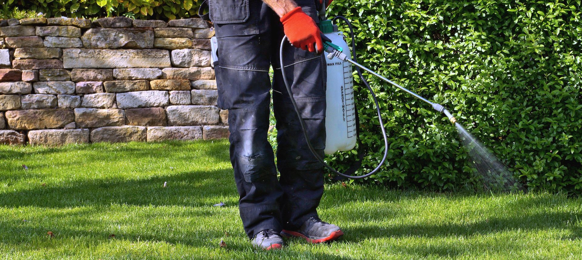 A man is spraying a lawn with a sprayer.