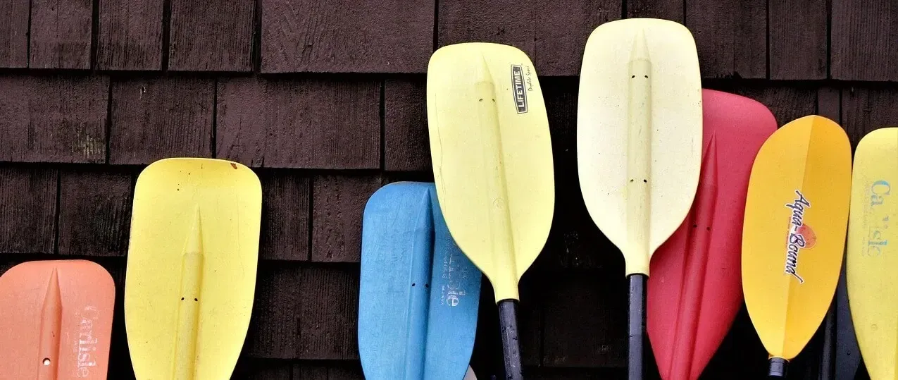 Several colorful kayak paddles are arranged side-by-side against a brown shingled wall.