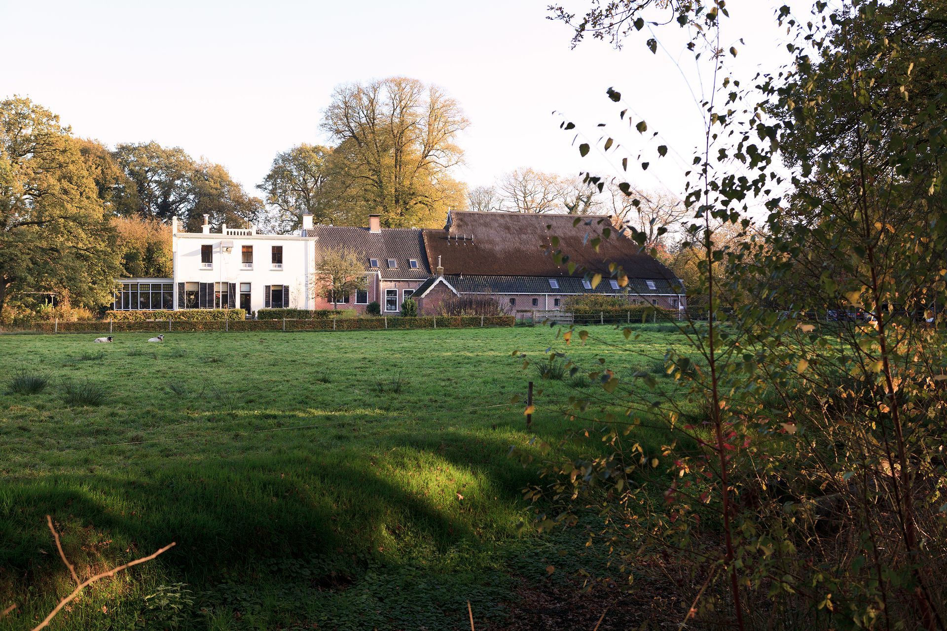 De jufferen Lunsingh omgeven door groen
