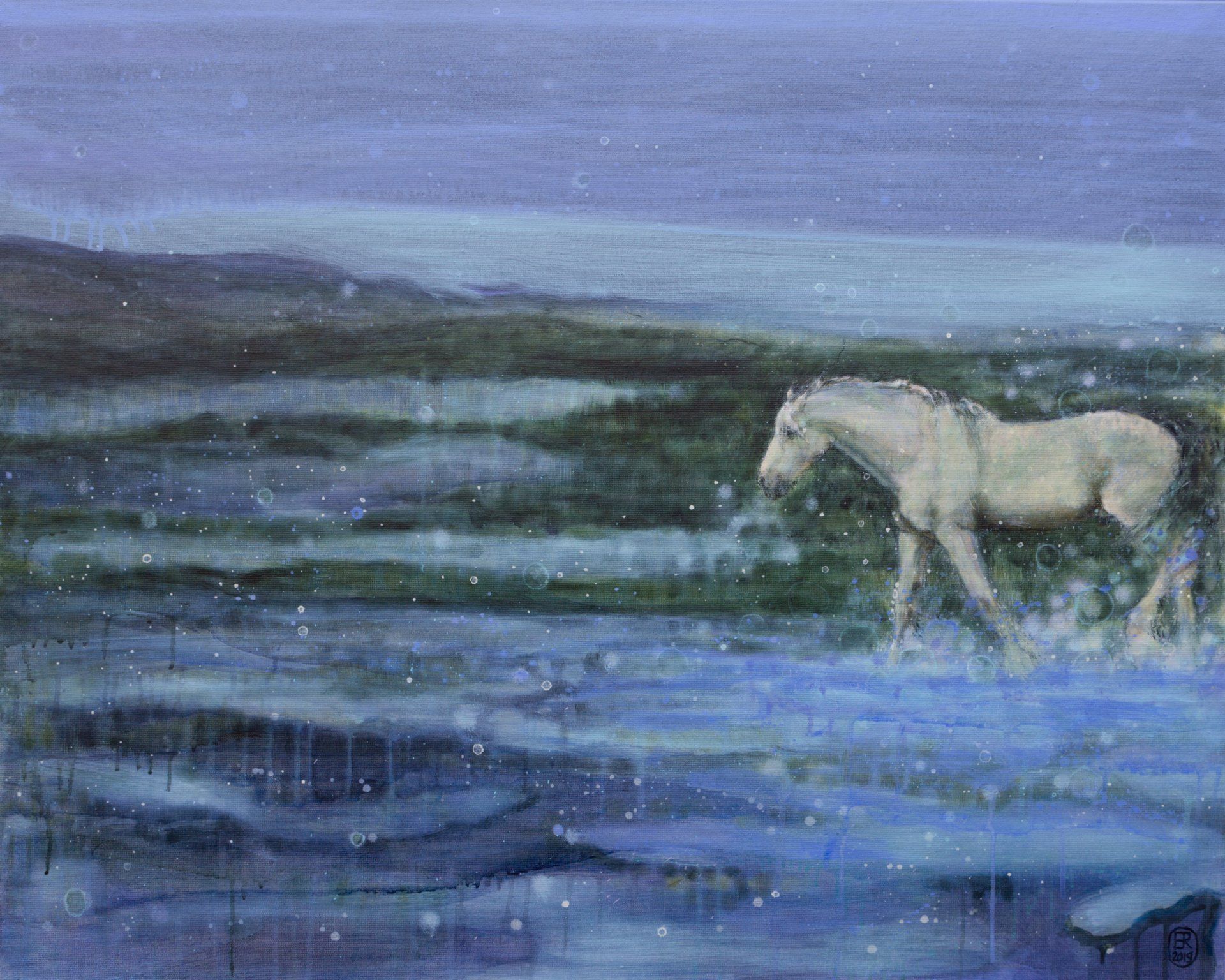 Een wit paard waadt door een blauwgroen landschap. Hinke van der Werf over 'Langzaam maar zeker'