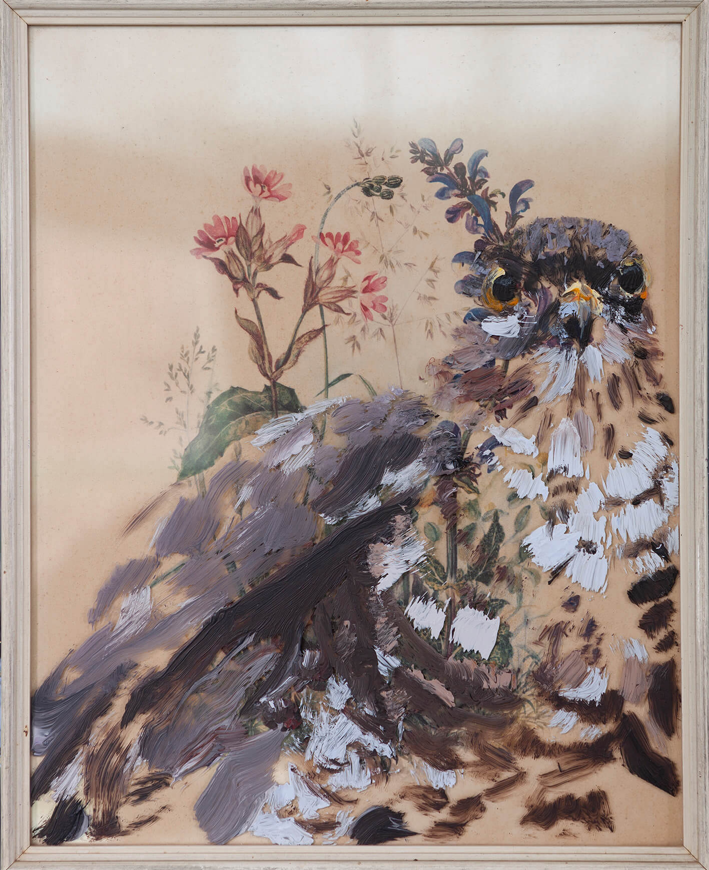 Sperwer geschilderd op het glas van een vintage botanische prent 
