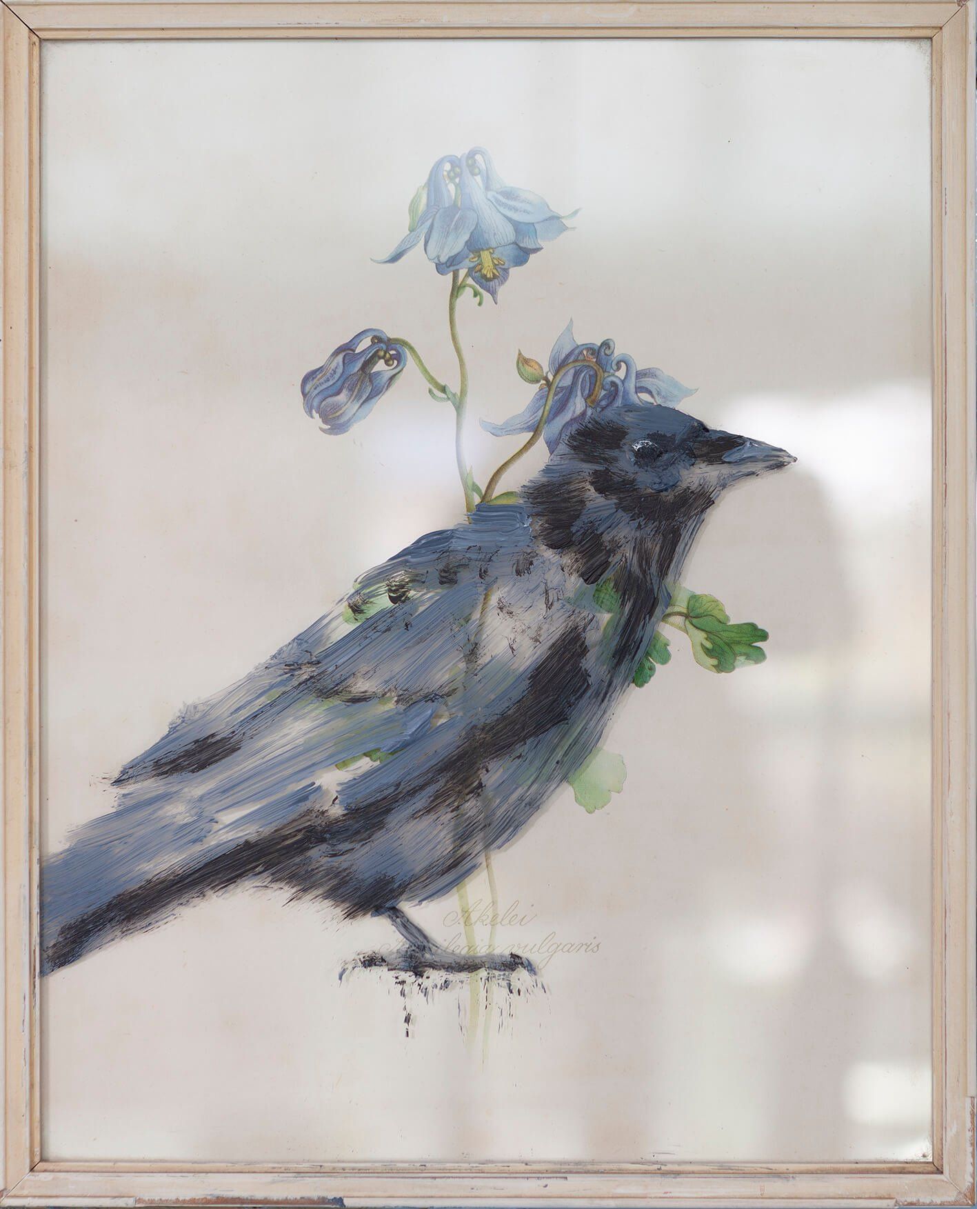 Kraai geschilderd op het glas van een vintage botanische prent 