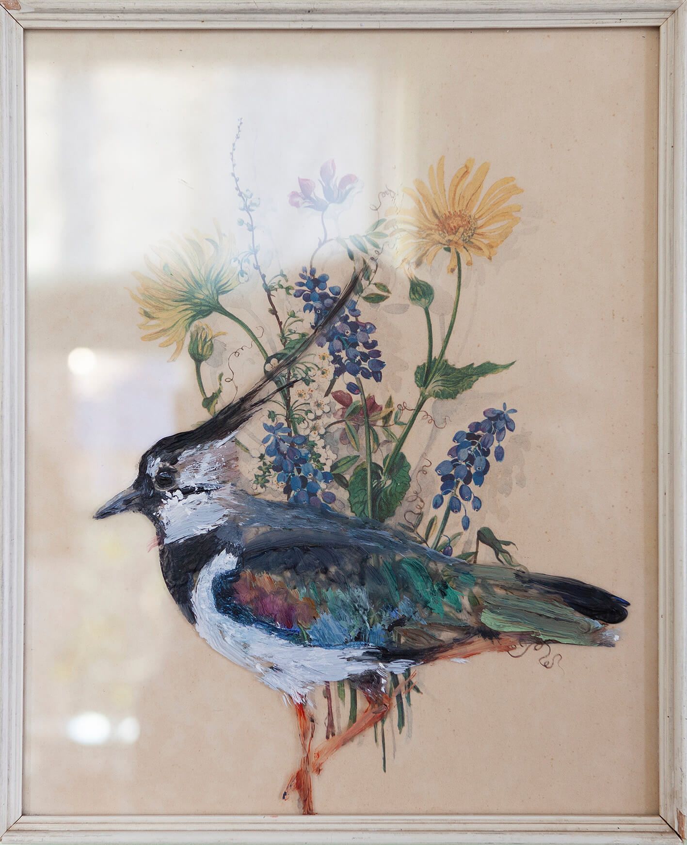 Kievit geschilderd op het glas van een vintage botanische prent 