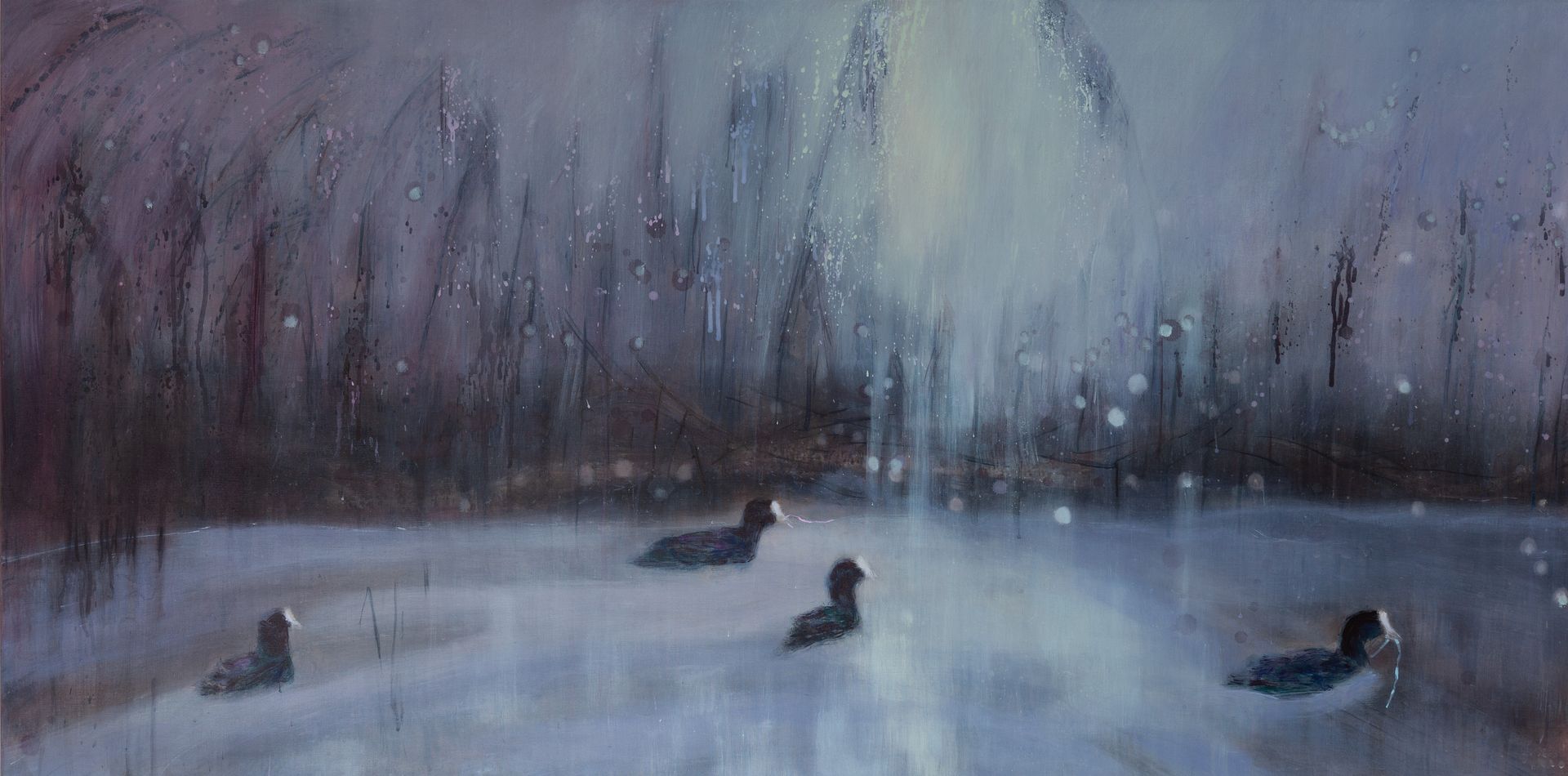 Meerkoeten zwemmen in een winters, mistig meer. Droomlandschap.