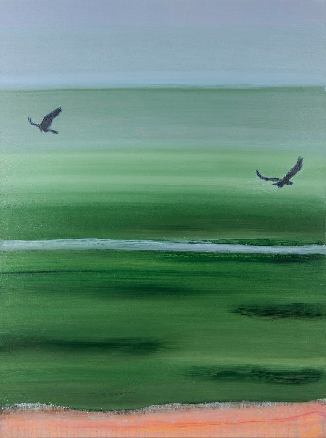Twee vogels vliegen boven het kalme groene grasland onder een bleke hemel.