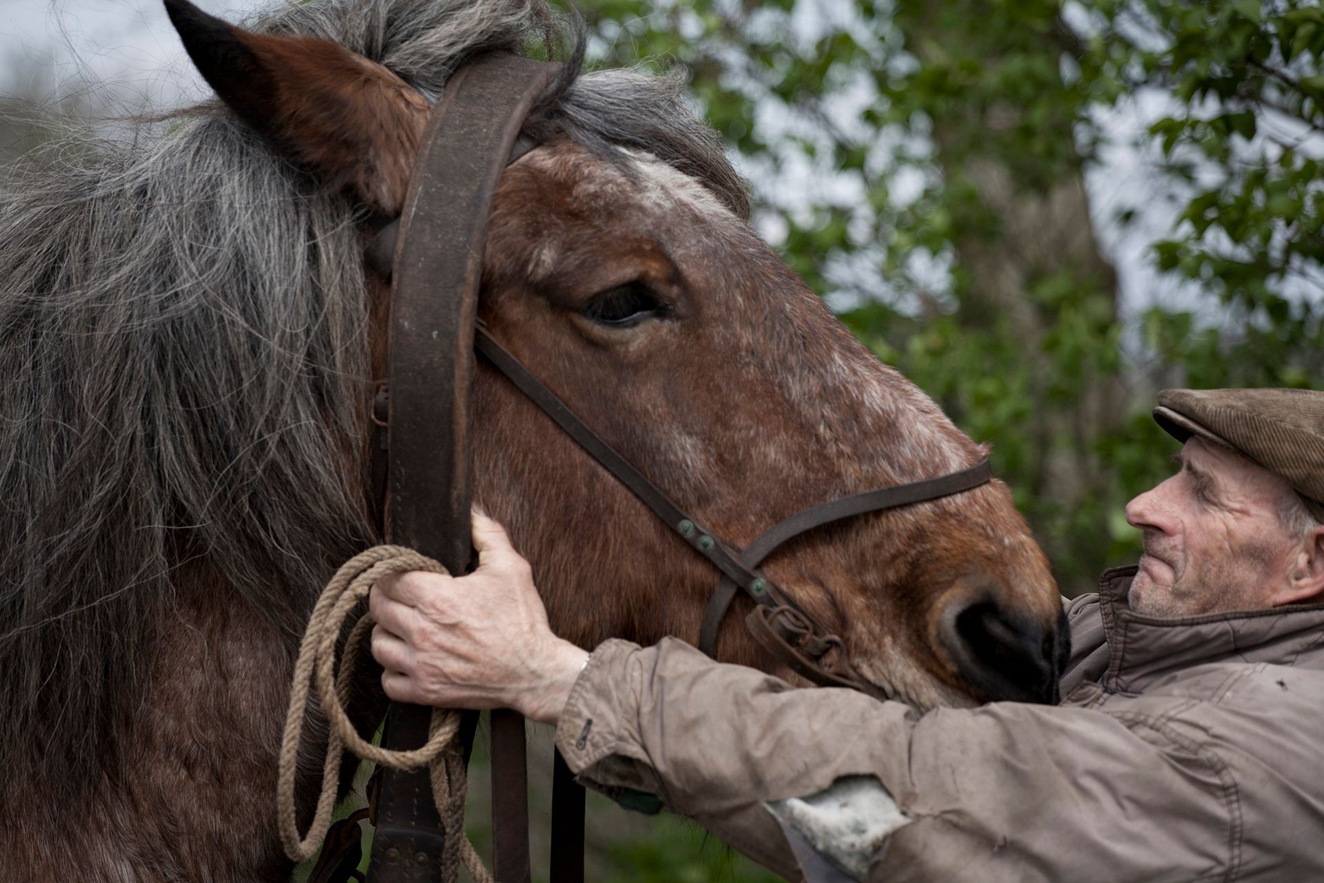 Man en paard .Foto Elise Klinkert