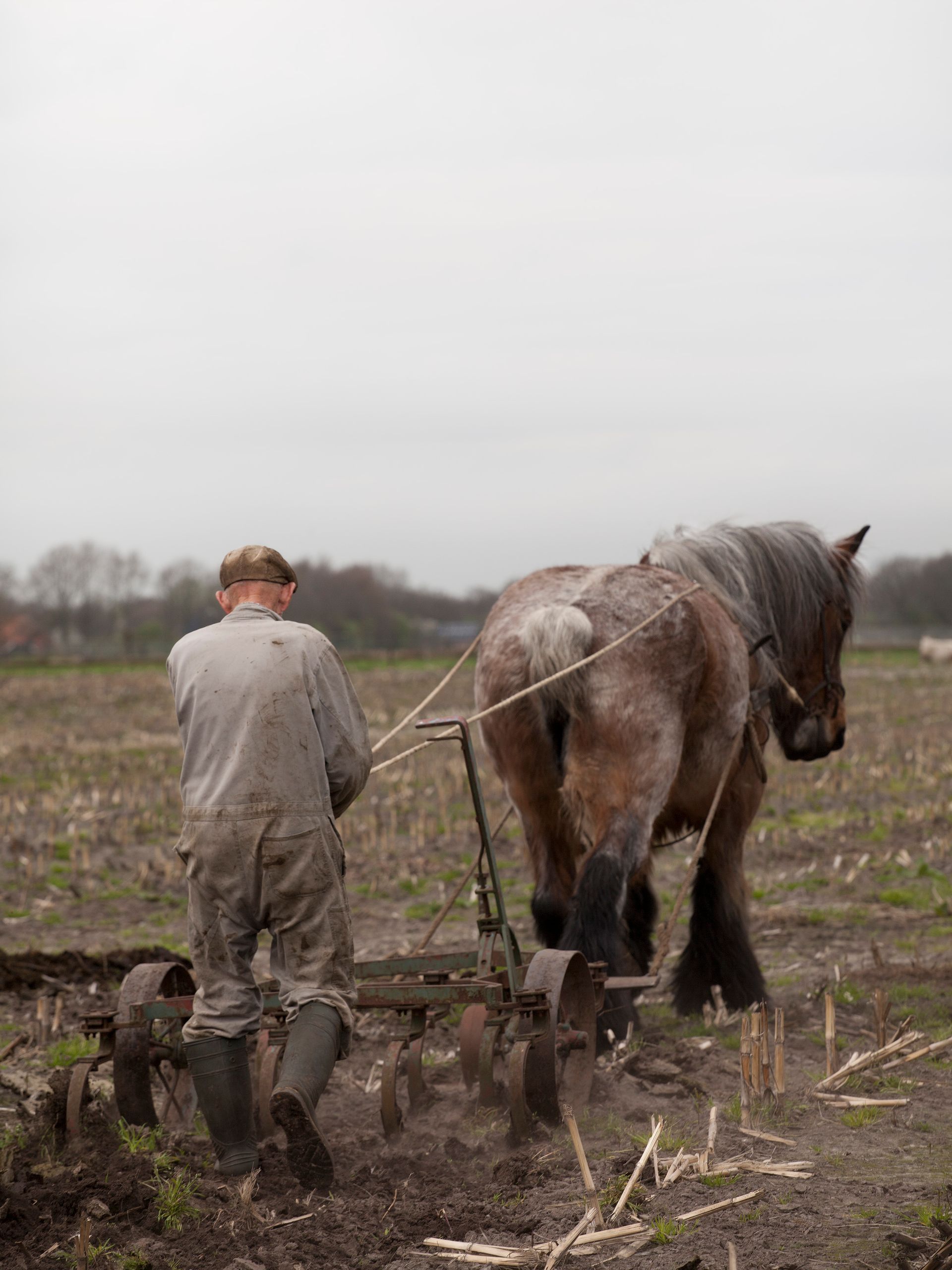 Boer en paard ploegen een veld bij bewolkt weer; de boer draagt ​​een overall. Foto Elise Klinkert
