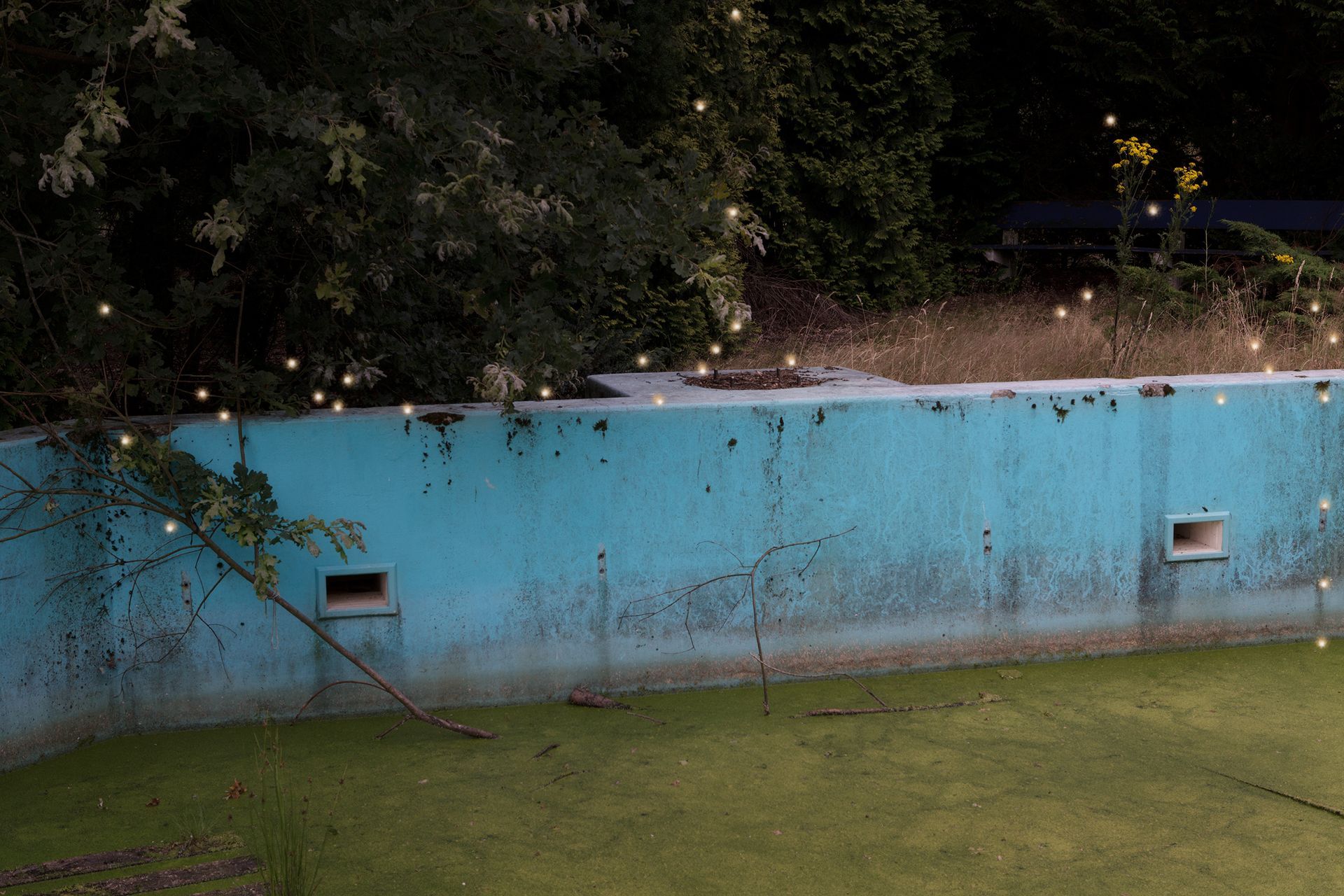 Een verlaten en overwoekerd zwembad 's nachts, met groene algen en lichtslingers.Foto Elise Klinkert