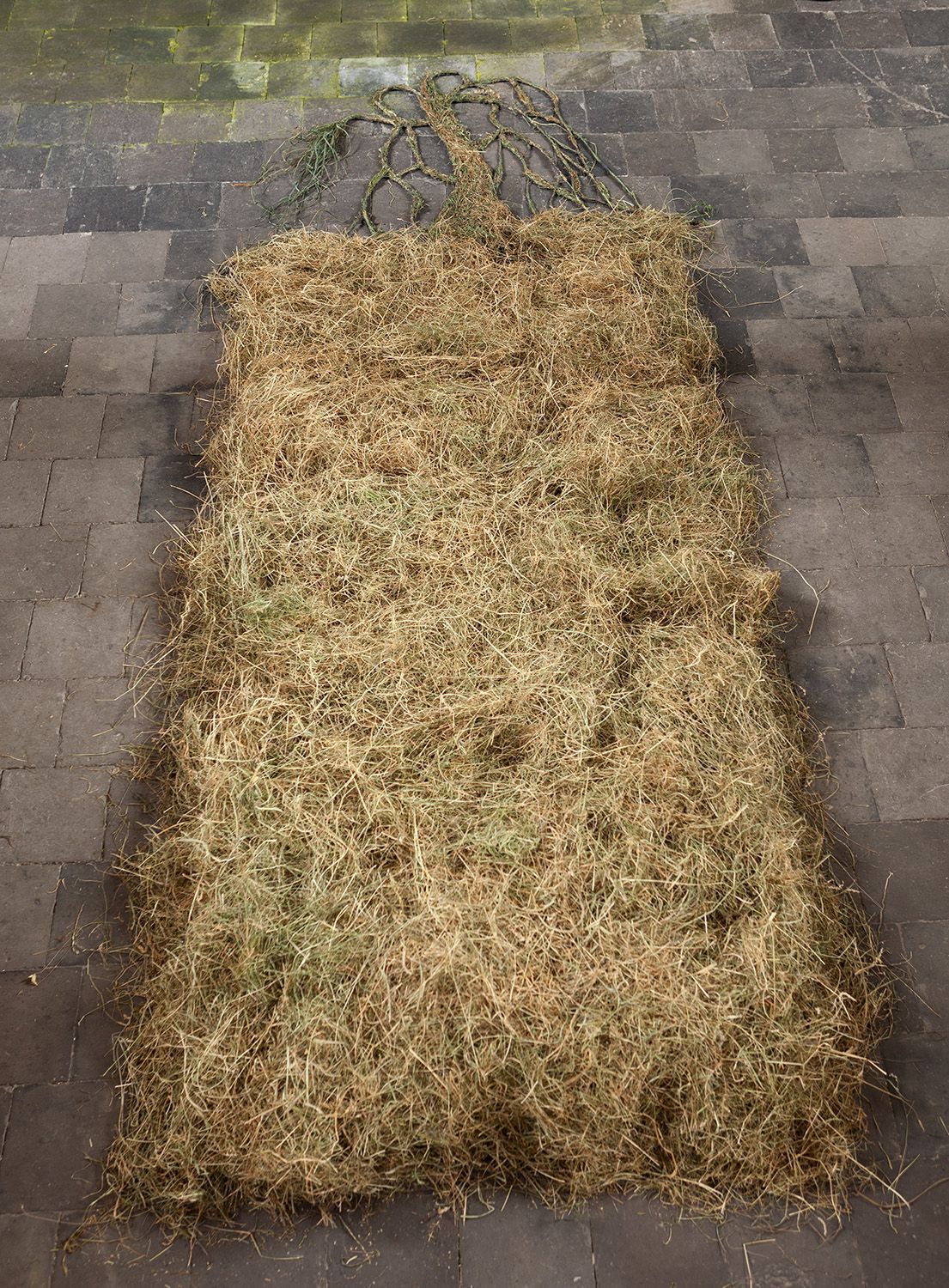 Installatie: Elise Klinkert
