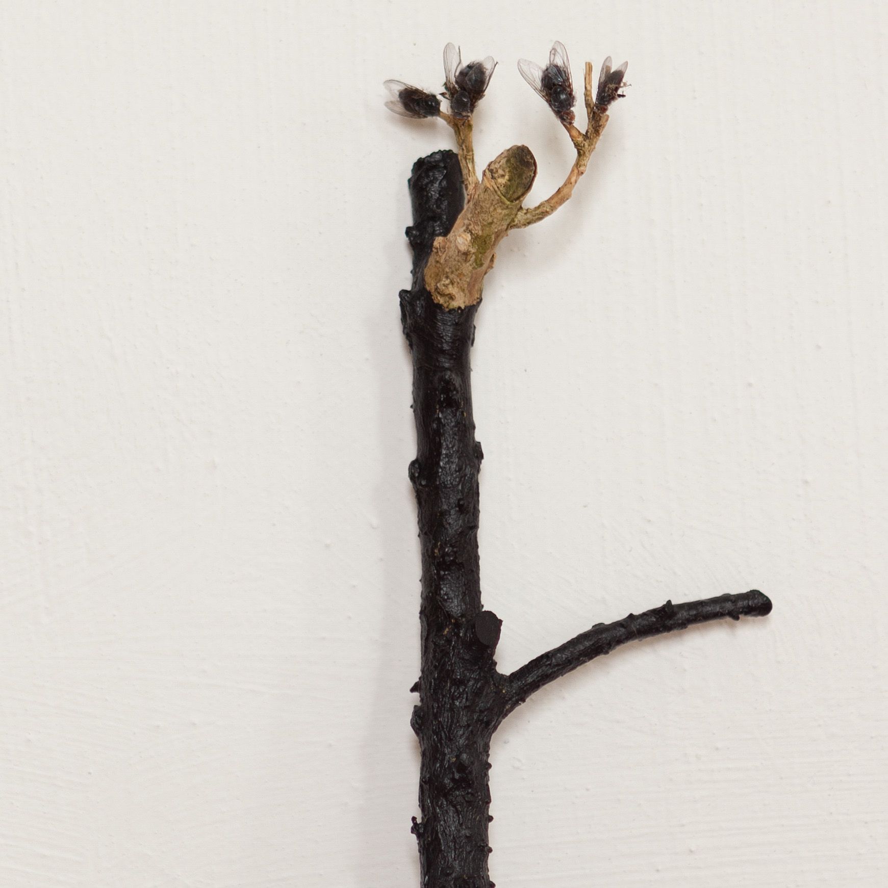 Installatie: Elise Klinkert