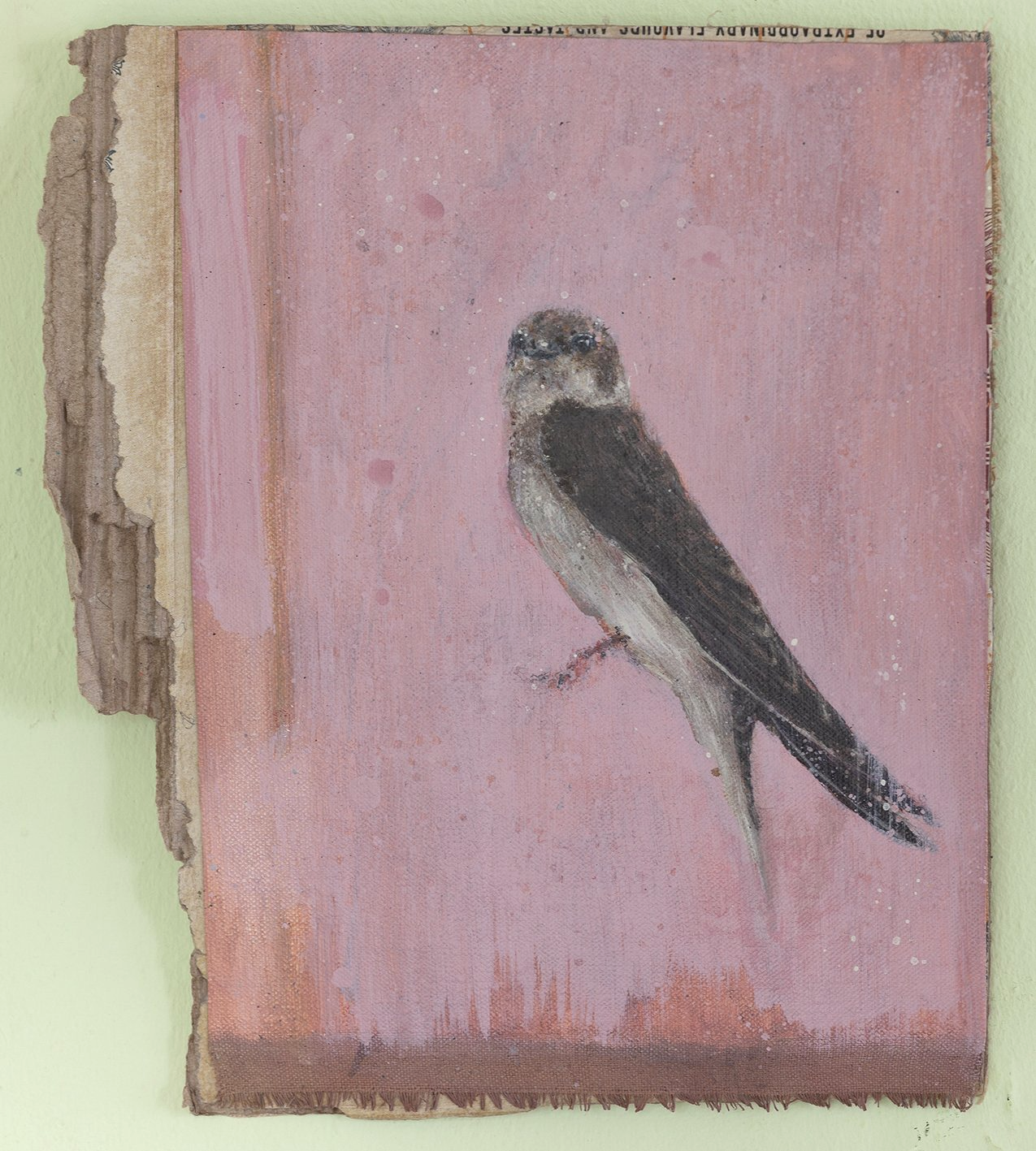 Oeverzwaluw op roze achtergrond; schilderij op linnen geplakt op gescheurd karton.