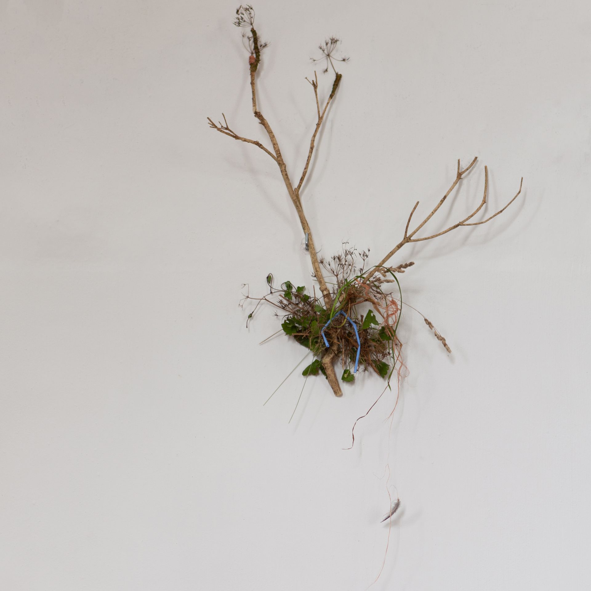 Installatie: Elise Klinkert