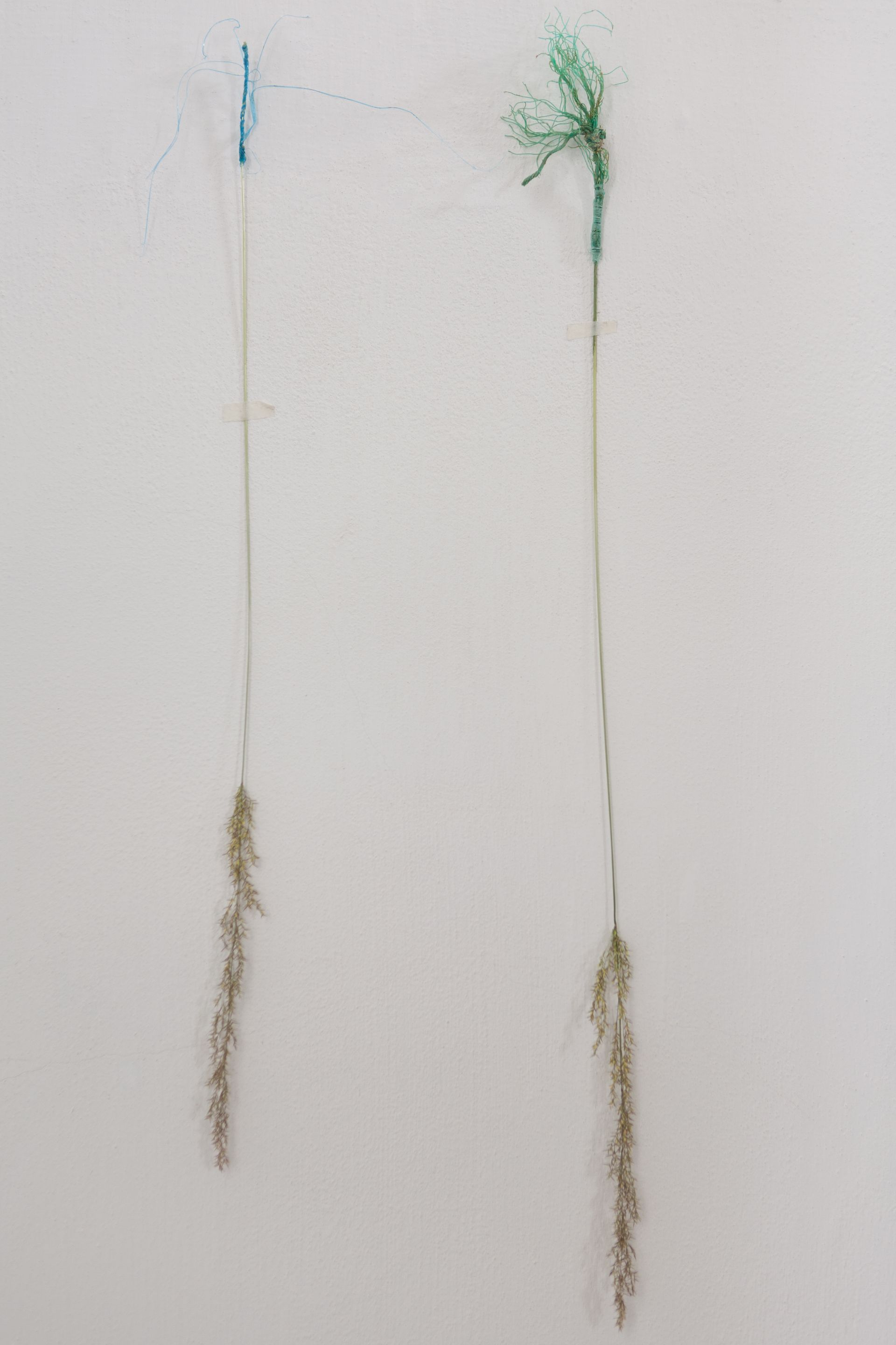 Installatie: Elise Klinkert