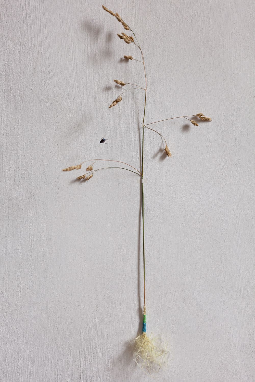 Installatie: Elise Klinkert