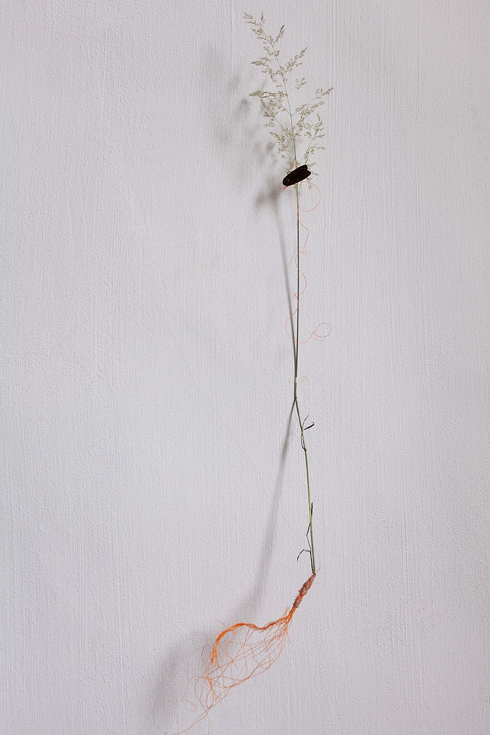 Installatie: Elise Klinkert