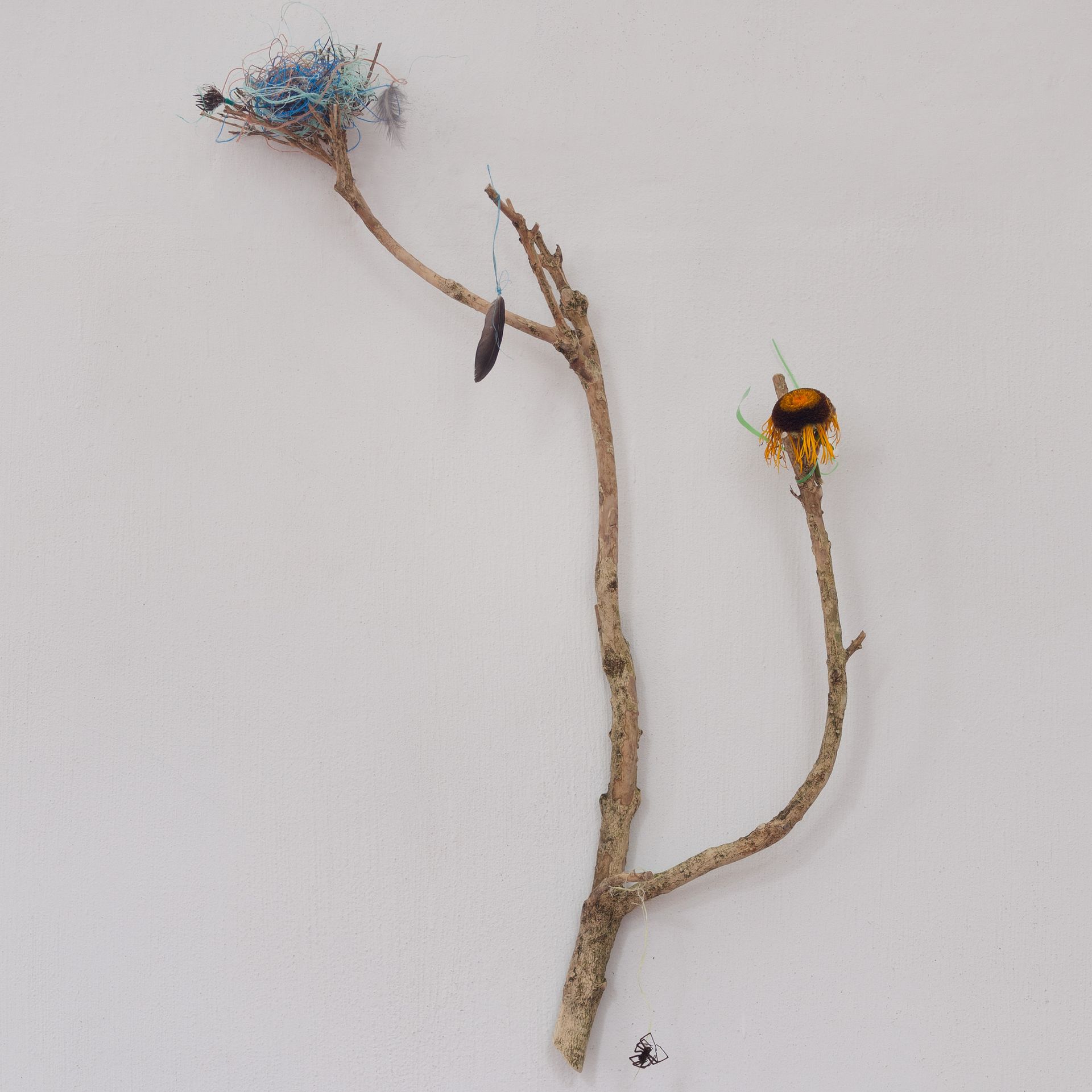 Installatie: Elise Klinkert